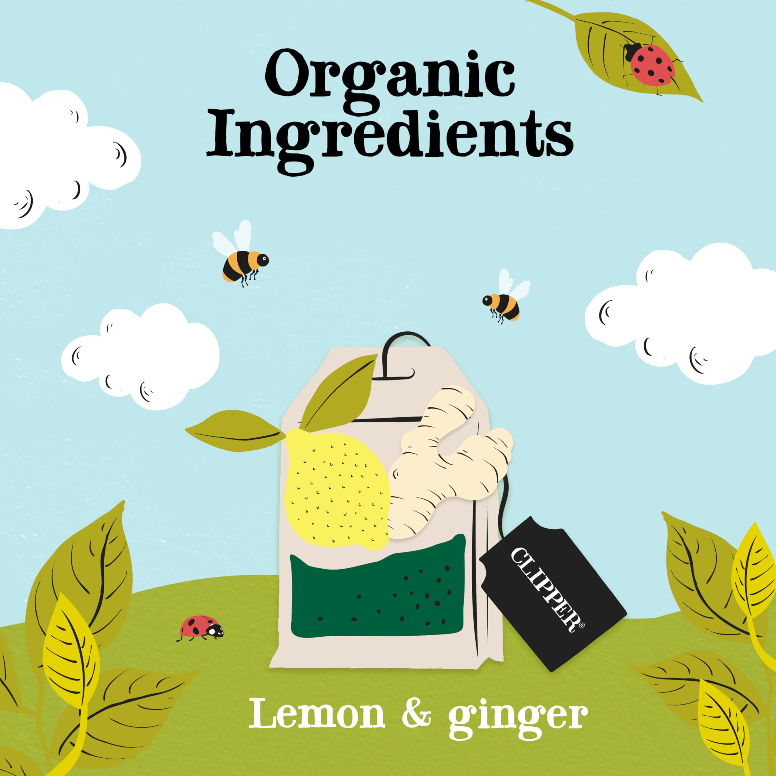 Clipper Natural, Fair & Delicious Organic Lemon & Ginger Herbal Tea Bags - 120 Count (6x20) | Caffeine Free 3