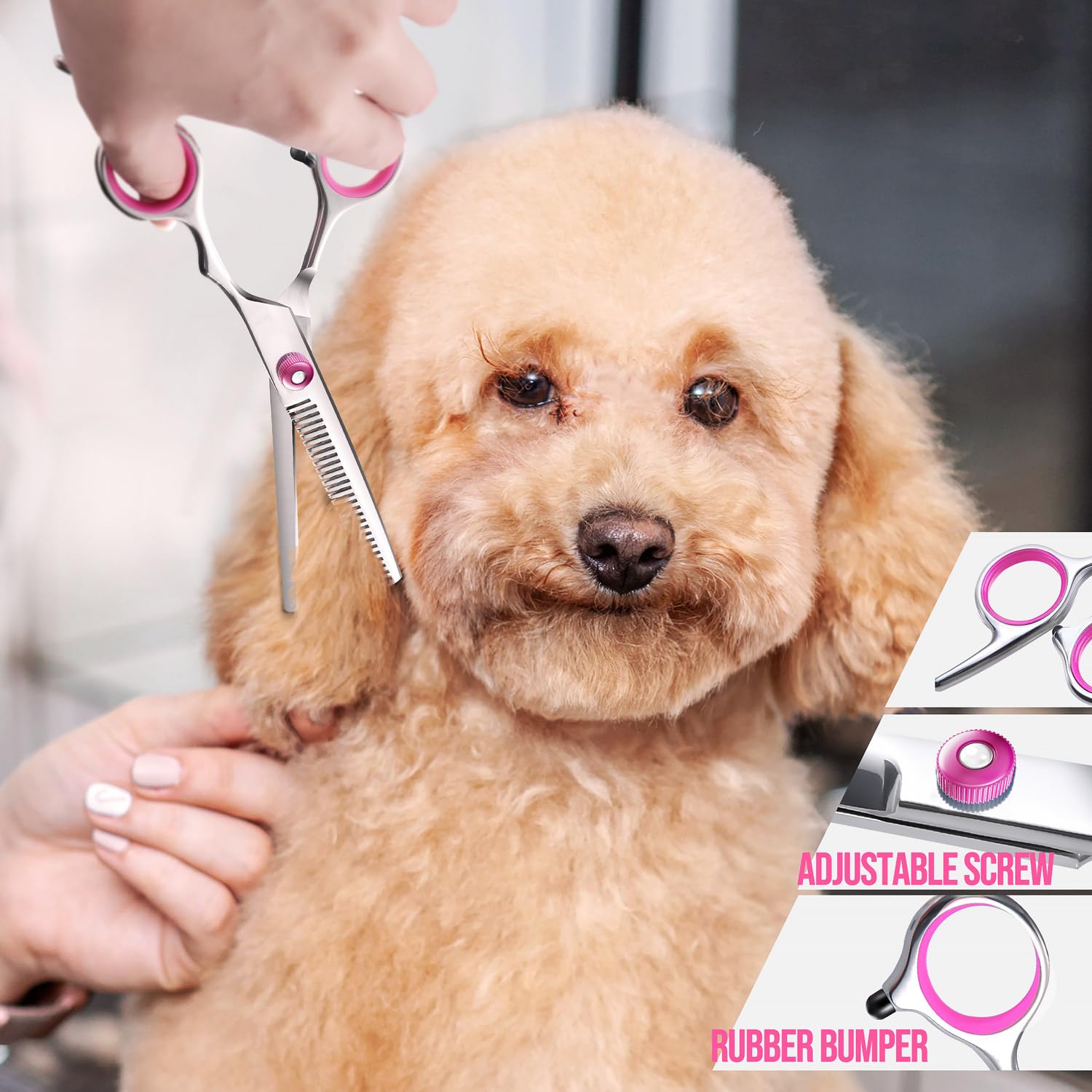 Gimars Professional Dog Grooming Scissors Kit - 5-in-1 Set with Safety Round Tip | 4CR Stainless Steel 6
