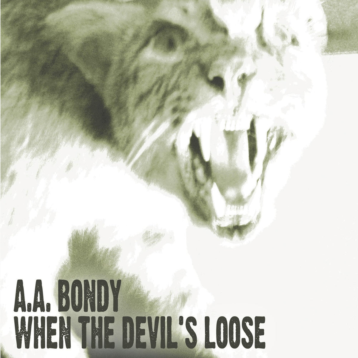 A.A. Bondy - When the Devil's Loose [Vinyl]
