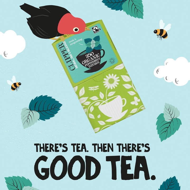 Clipper - Organic Peppermint Tea Bags | 250 Individually Wrapped Fairtrade Herbal Infusion