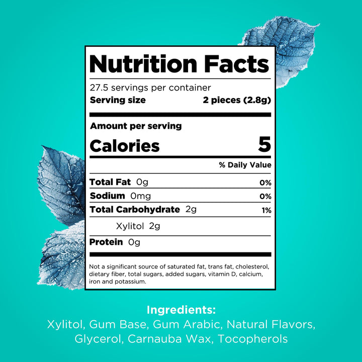 PUR - Natural Wintergreen Sugar-Free Chewing Gum, Sweetened with Xylitol, Vegan & Gluten-Free, 55 Pieces