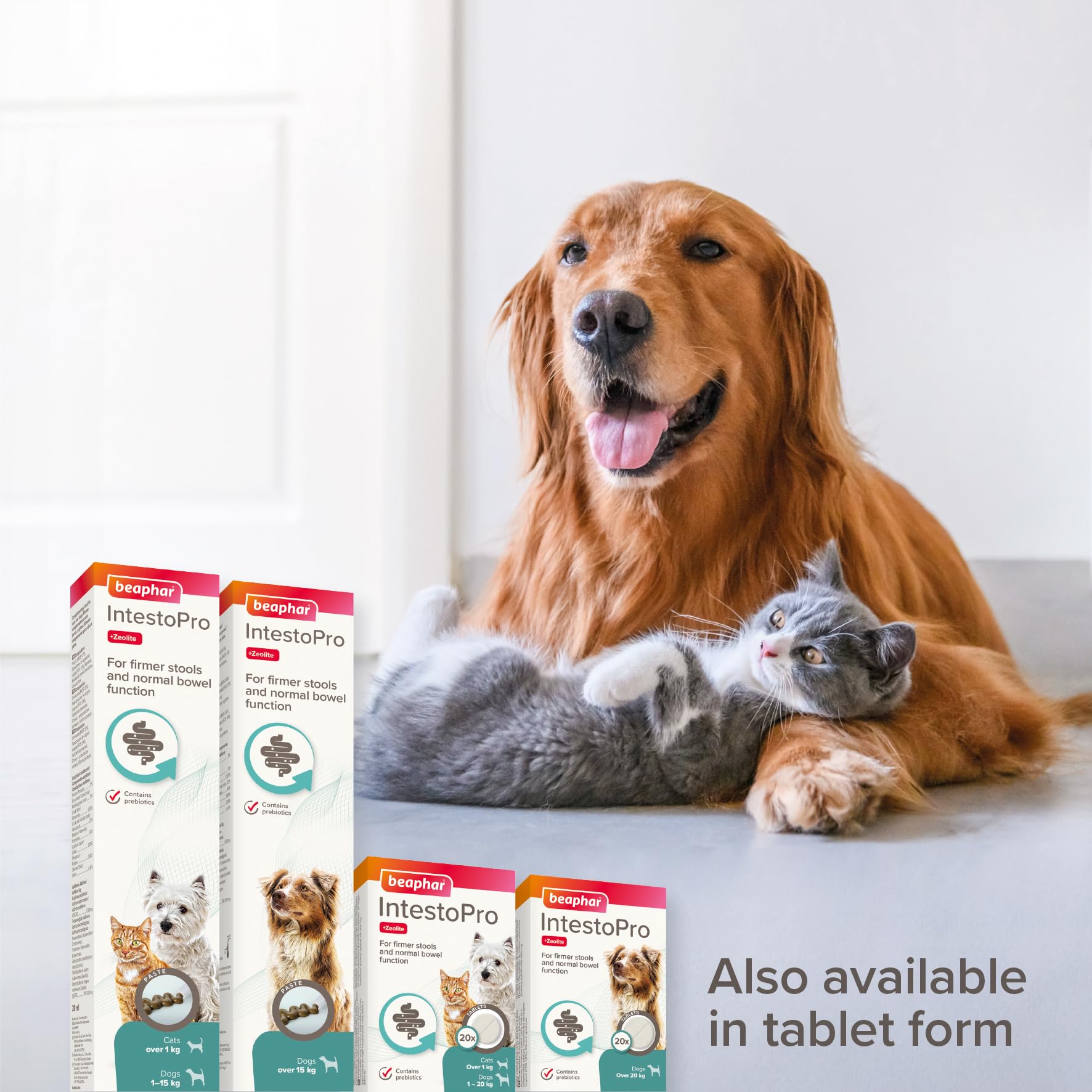 Beaphar IntestoPro Prebiotic Stool Firming Paste for Medium and Large Dogs - 2 x 20ml Tubes 6