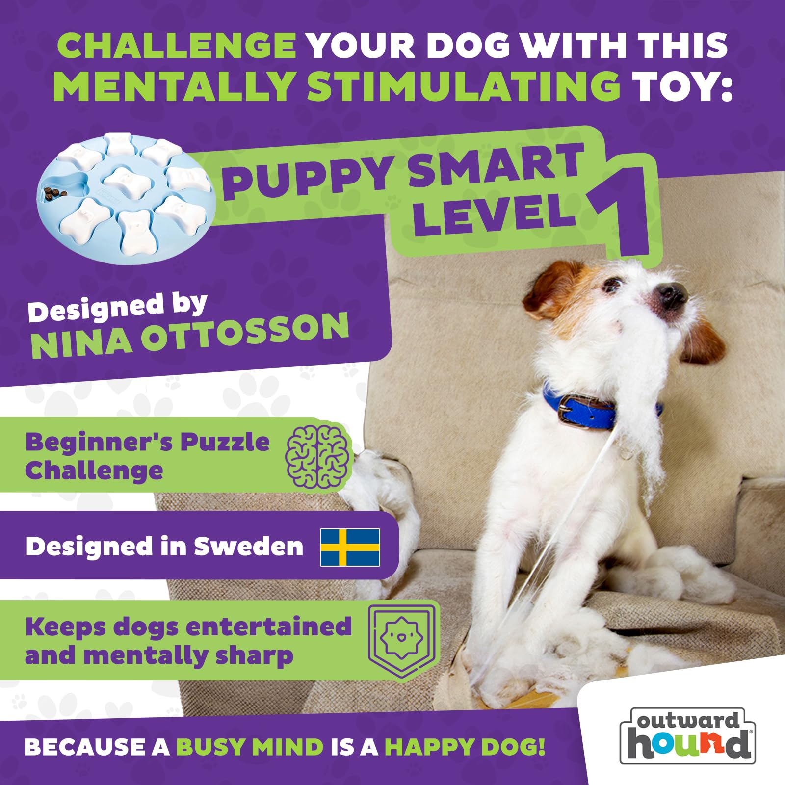 Outward Hound Nina Ottosson Puppy Smart Puzzle Dog Toy - Level 1 Beginner Challenge | Plastic