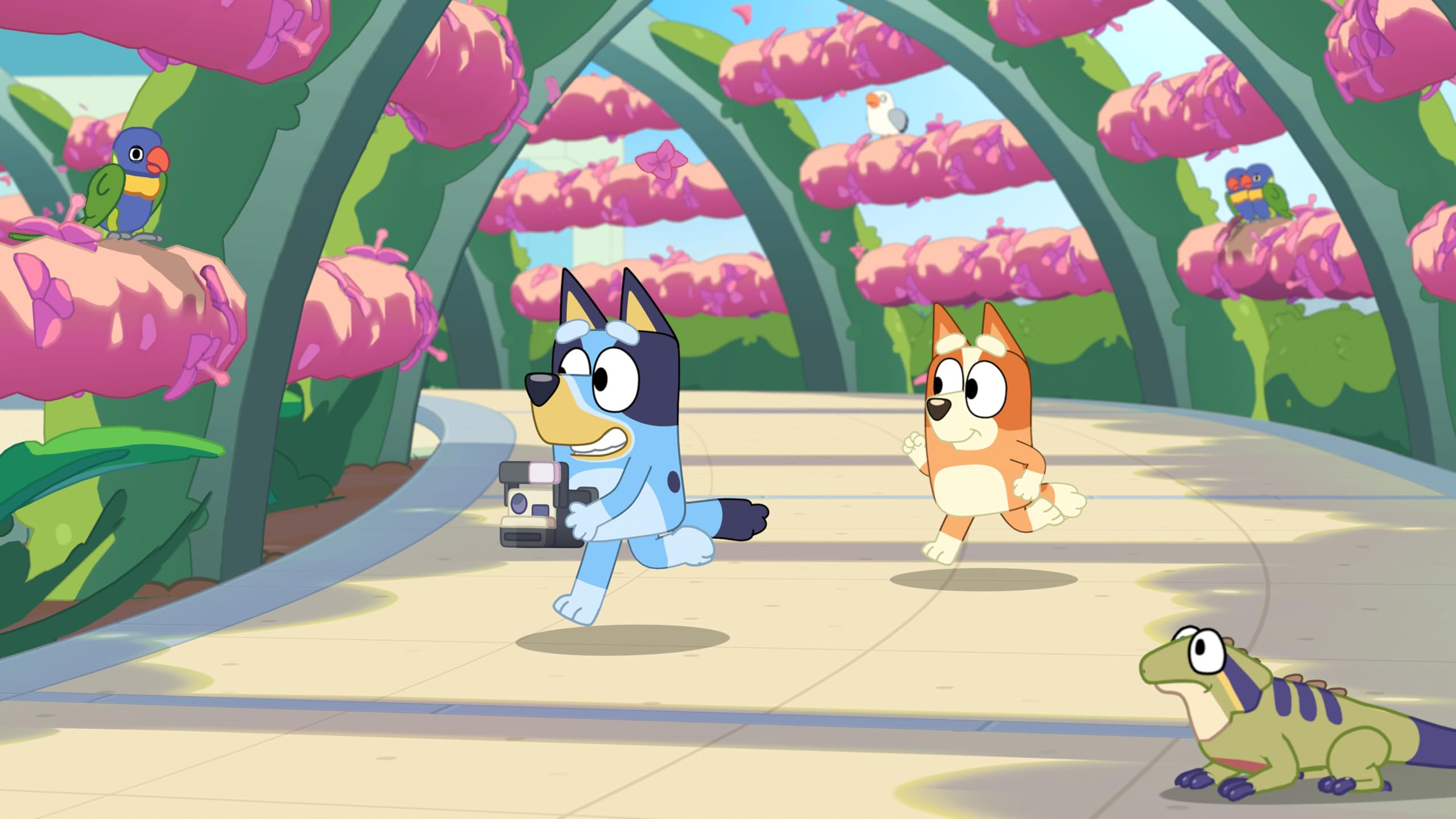 Bluey's Happy Snaps: Deluxe Edition [Xbox Series X] 8
