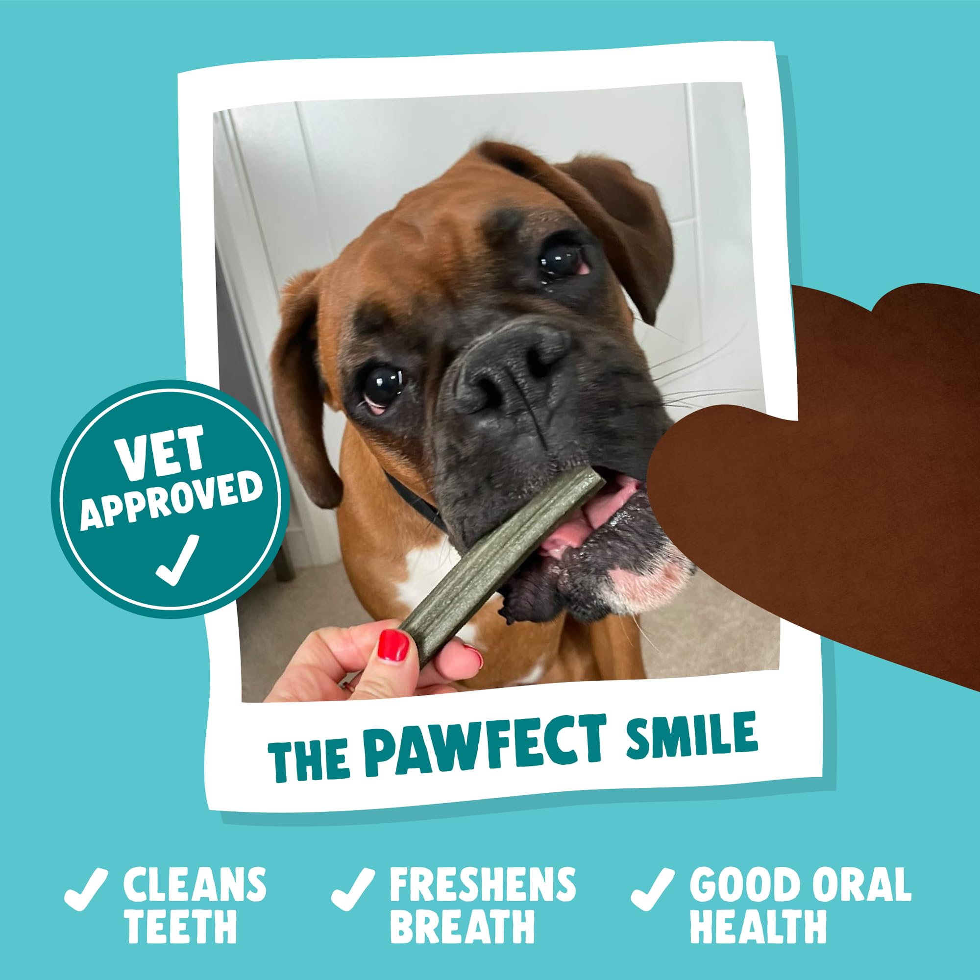 Denzel's Dog Dental Sticks - Large Dogs, Chicken & Peppermint Flavor | 28 Count