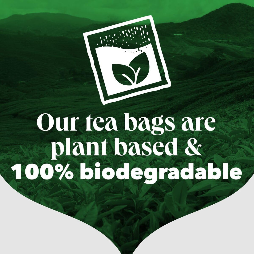 PG Tips - String and Tag One Cup Everyday Tea Bags (Pack of 100)