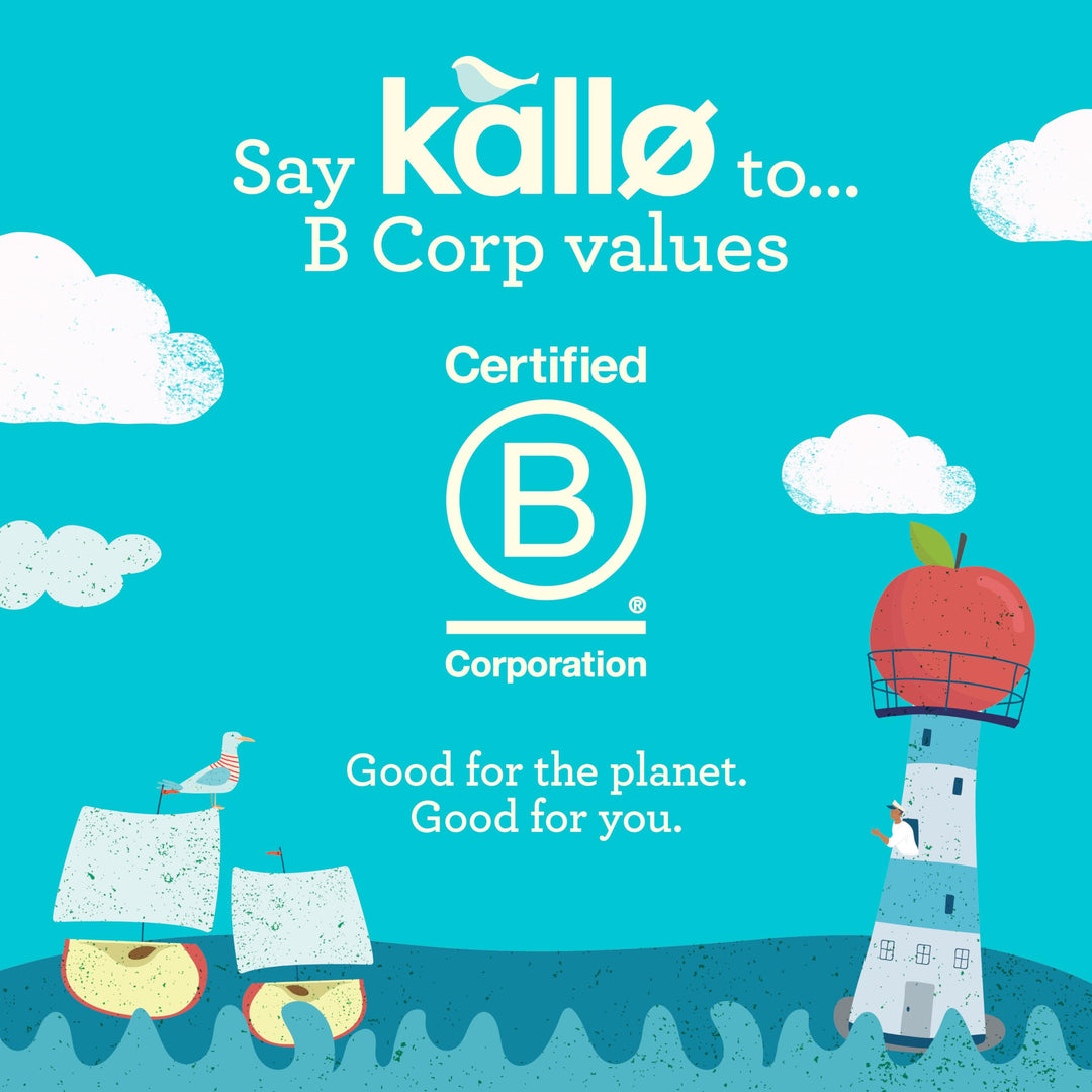 Kallo Sea Salt & Cider Vinegar Veggie Cakes, Lentil & Pea Puffed Crackers, Gluten Free, Vegan, 40 Cal per Slice
