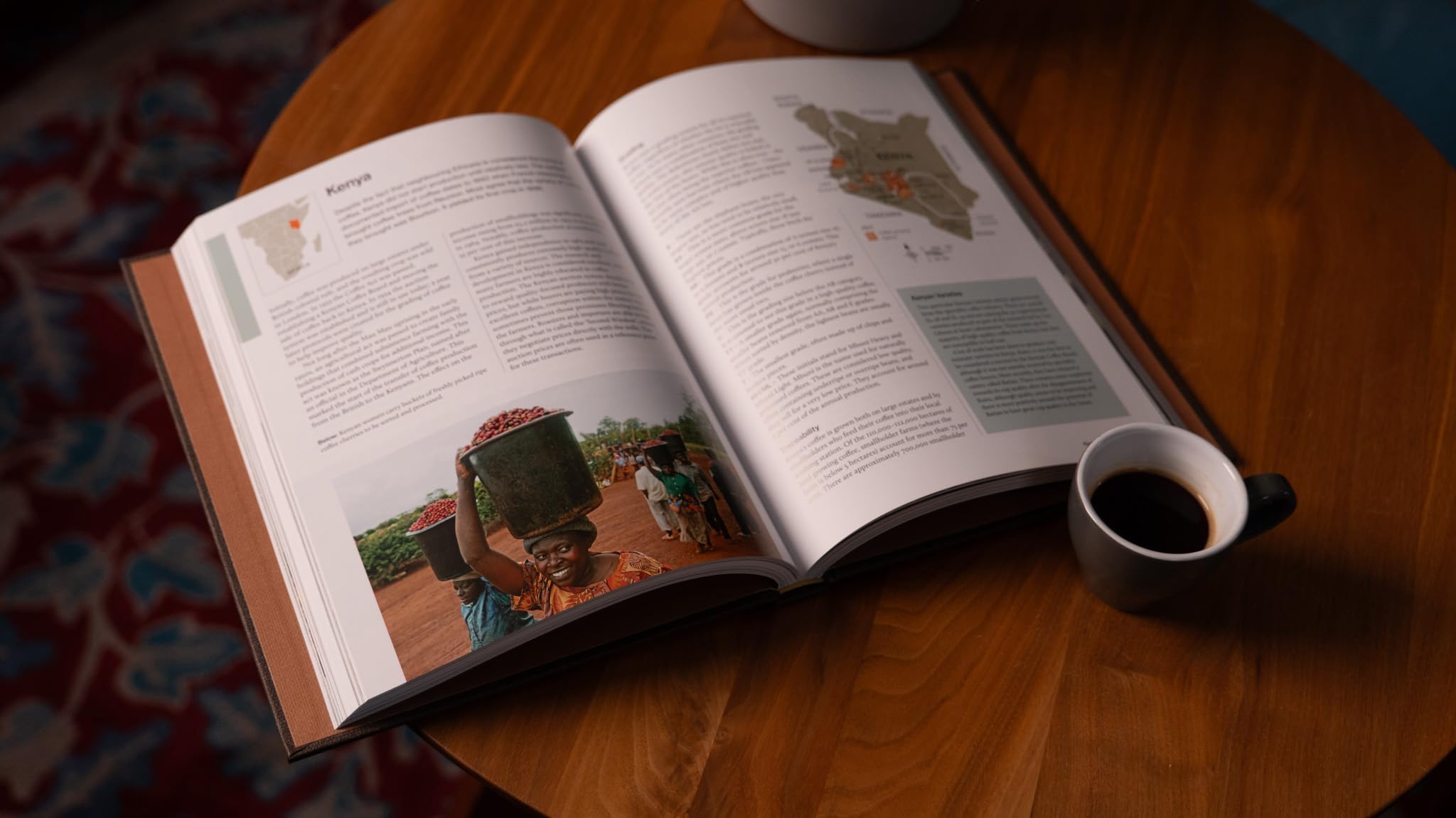 The World Atlas of Coffee 3rd Edition by James Hoffmann - Comprehensive Coffee Guide | Hardcover 8