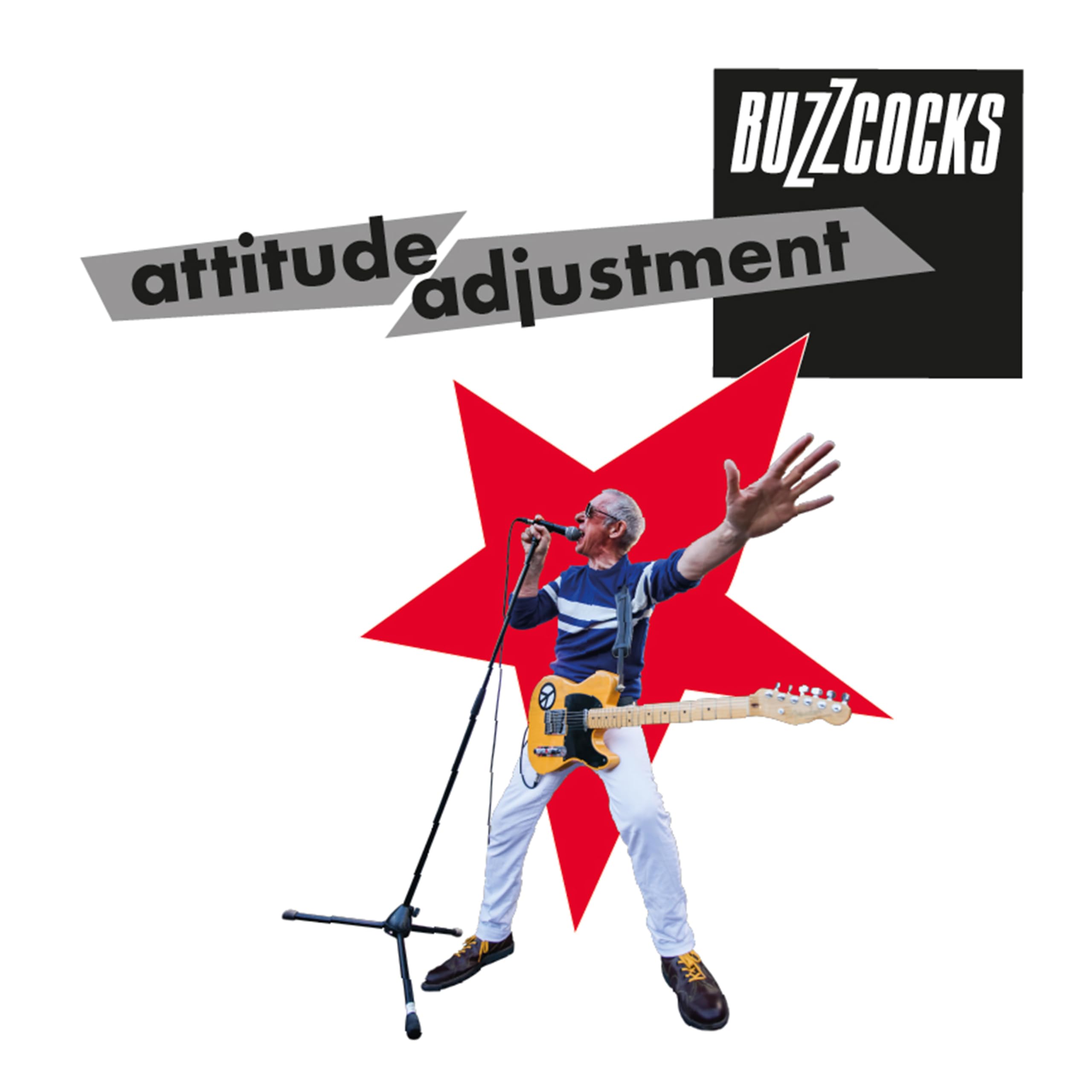 BUZZCOCKS - ATTITUDE ADJUSTMENT [Audio CD] 1