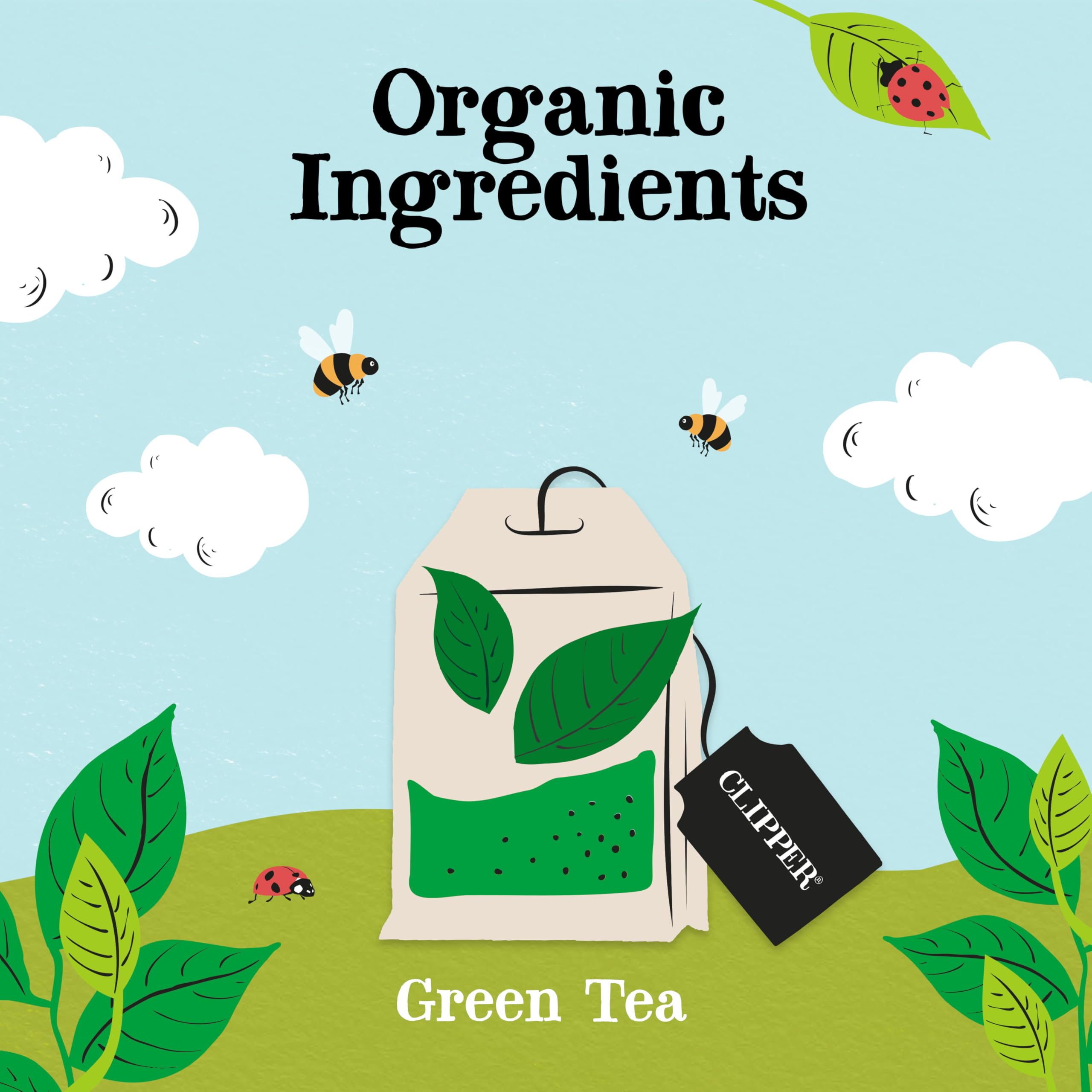Clipper Natural, Fair & Delicious Organic Pure Green Tea Bags - 50 Count, Antioxidant Source 3