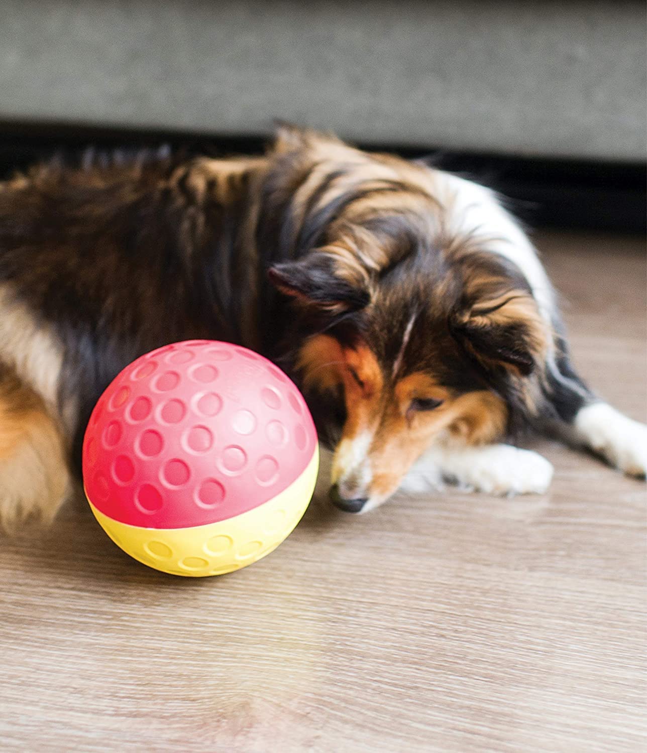 Outward Hound Nina Ottosson Treat Tumble Interactive Dog Toy - Level 1 Beginner Puzzle | Red | Plastic