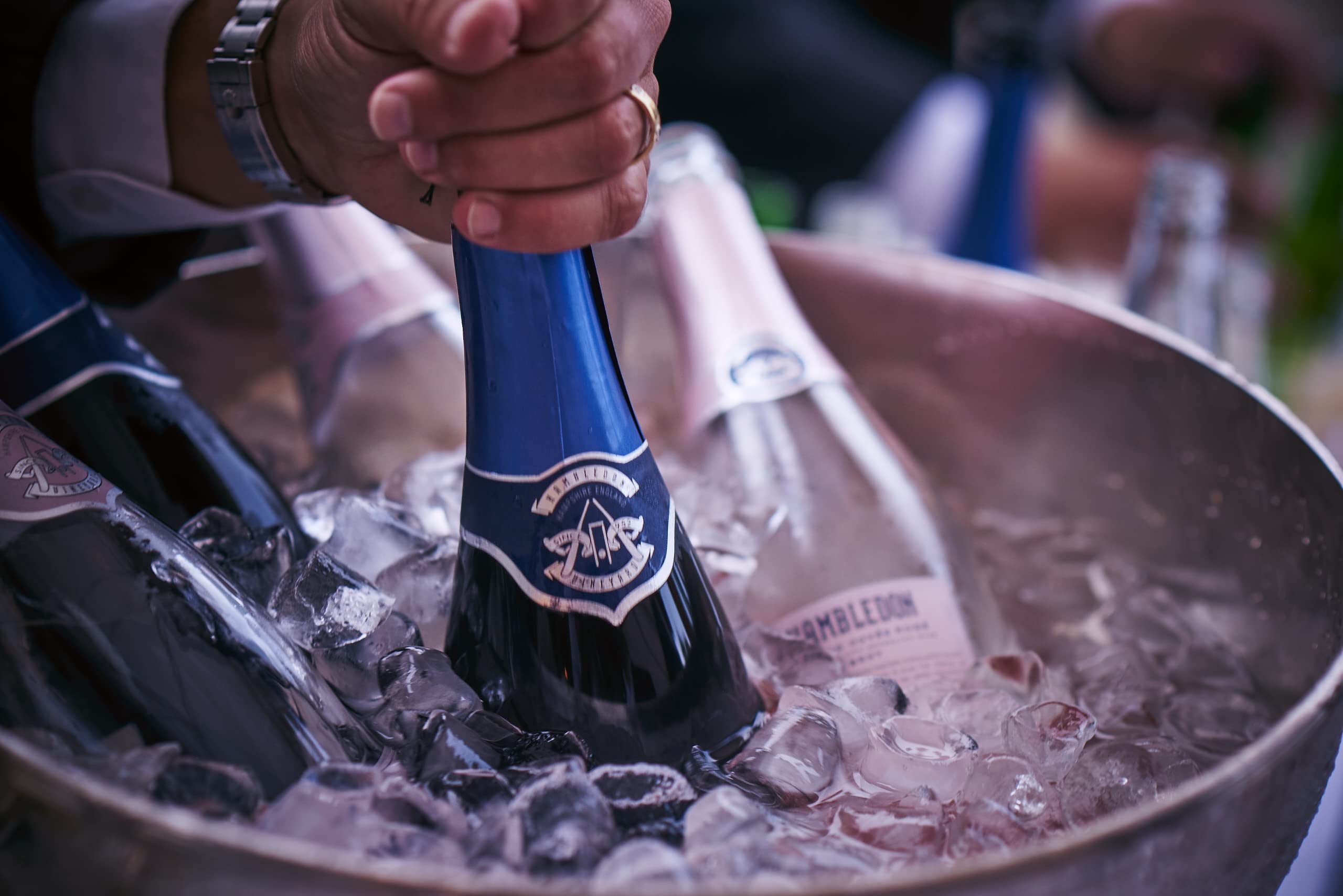 Hambledon Classic Cuvée Sparkling Wine - 12% ABV | 75cl Bottle | NV Dry 3