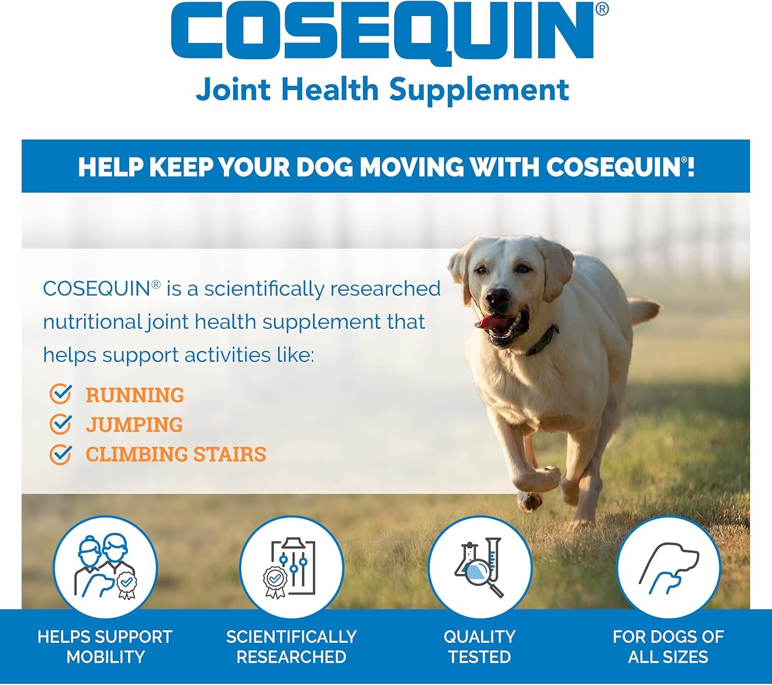 Nutramax Cosequin Maximum Strength Joint Supplement for Dogs - 250 Count Tablets