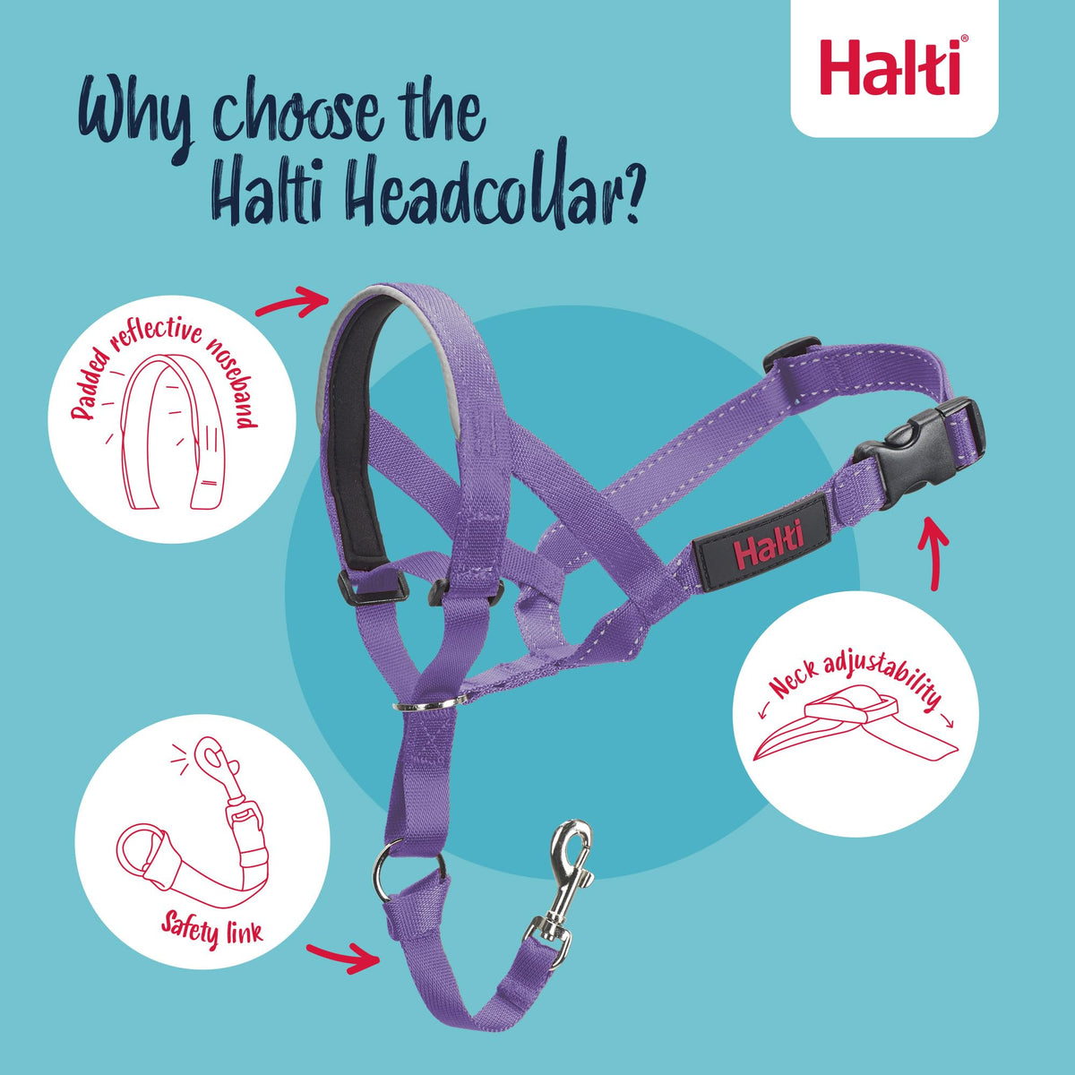 Halti Headcollar for Dogs - Size 1, Purple