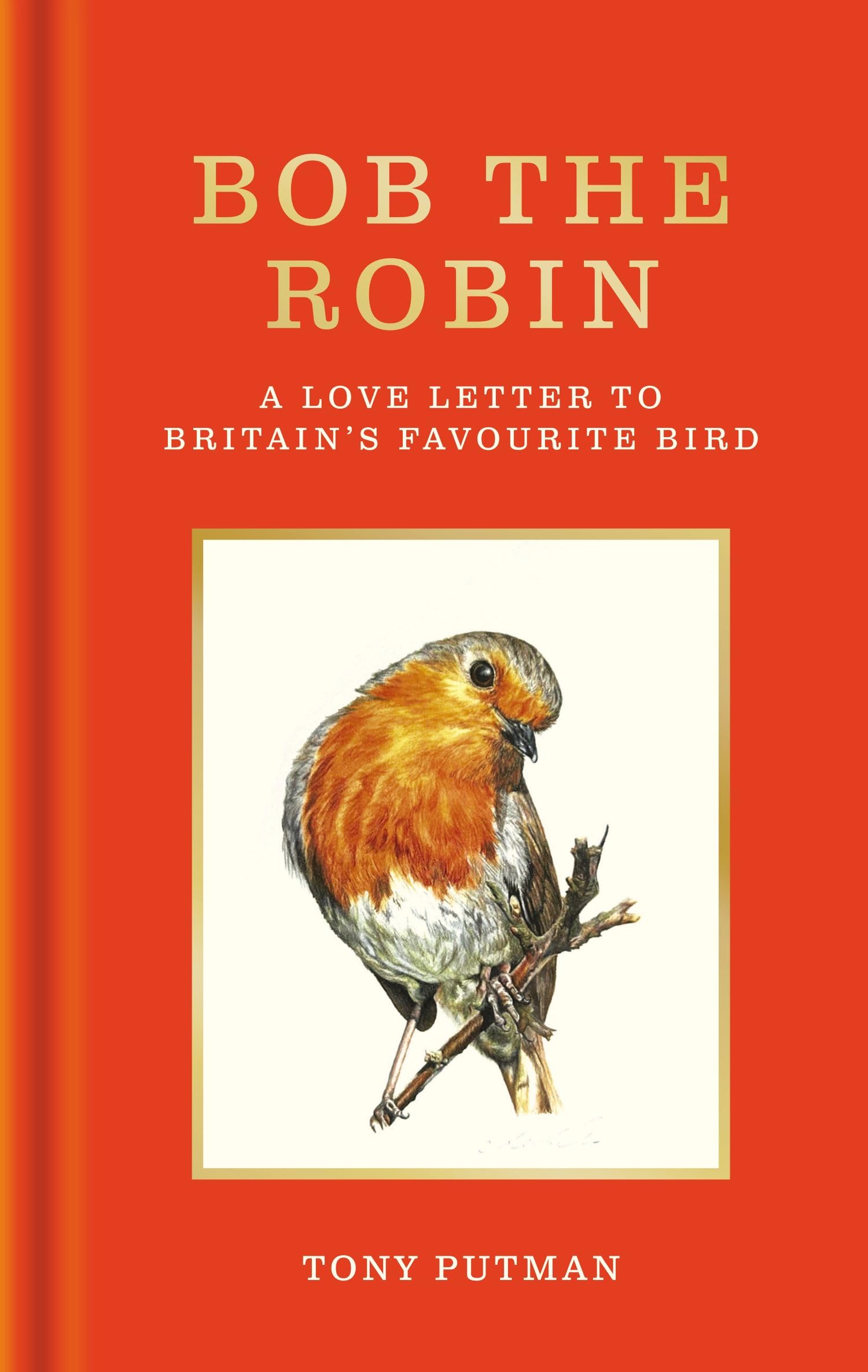 Gaia Bob the Robin: A True Story of Friendship with Britain's Favorite Bird by Tony Putman 1