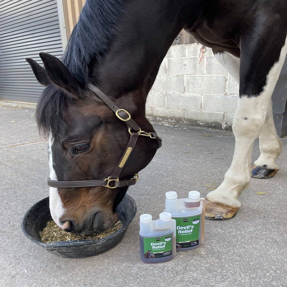 NAF Devil's Relief - Herbal Joint Support for Horses | Liquid Supplement | 1 Litre 4