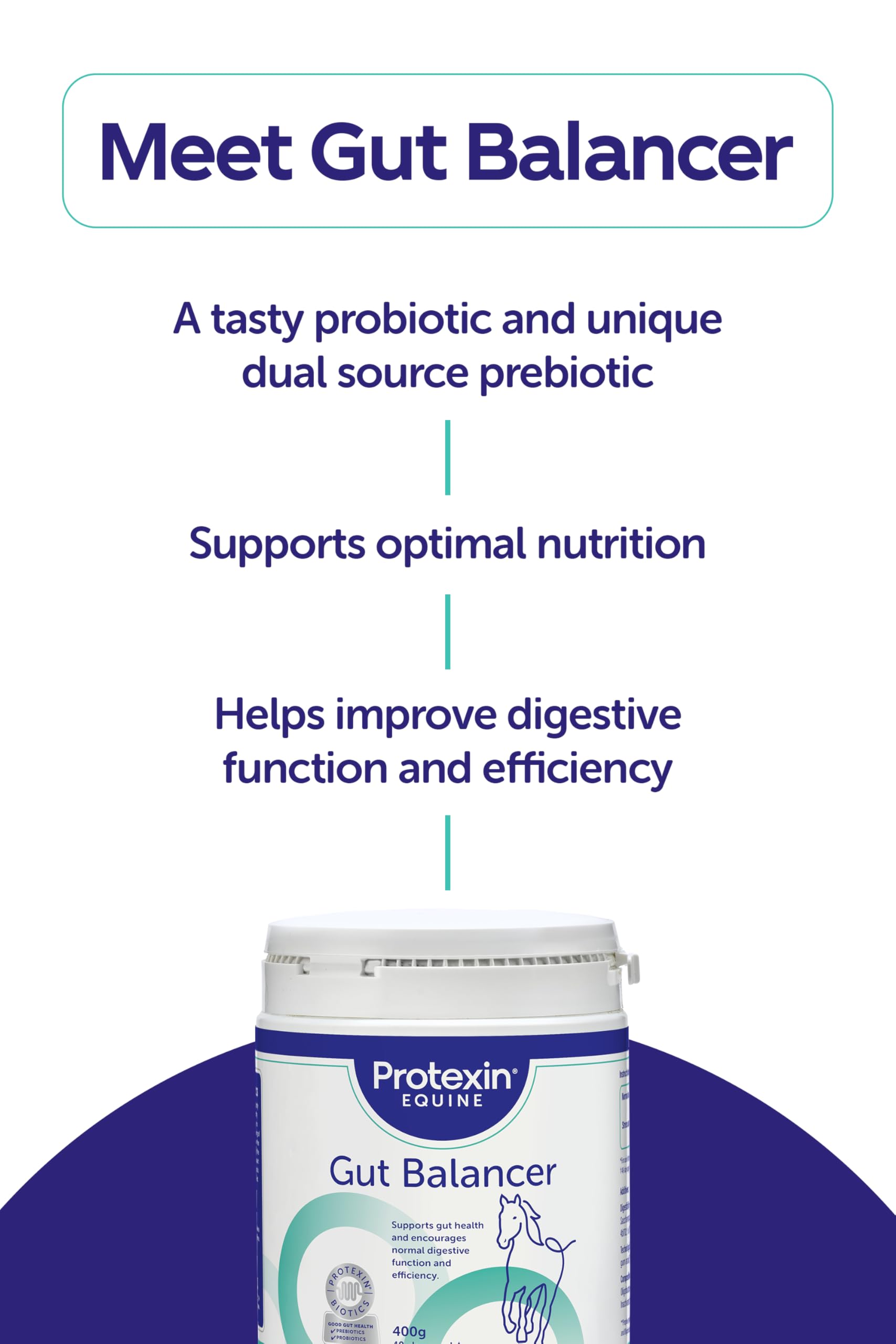 Protexin Equine Premium Gut Balancer - Daily Digestive Health Support | 700 g 6