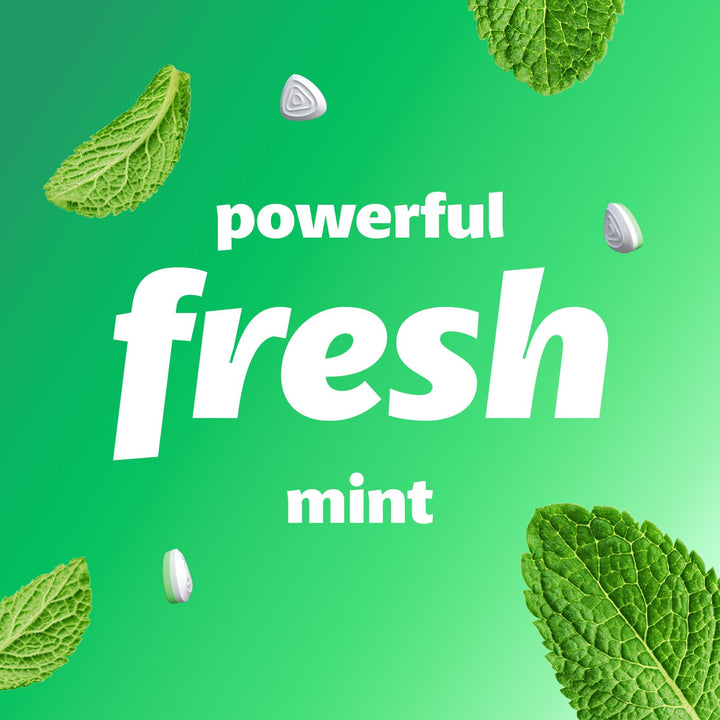 Smint - Spearmint XXL Sugar-Free Mints (Pack of 12 Tins)