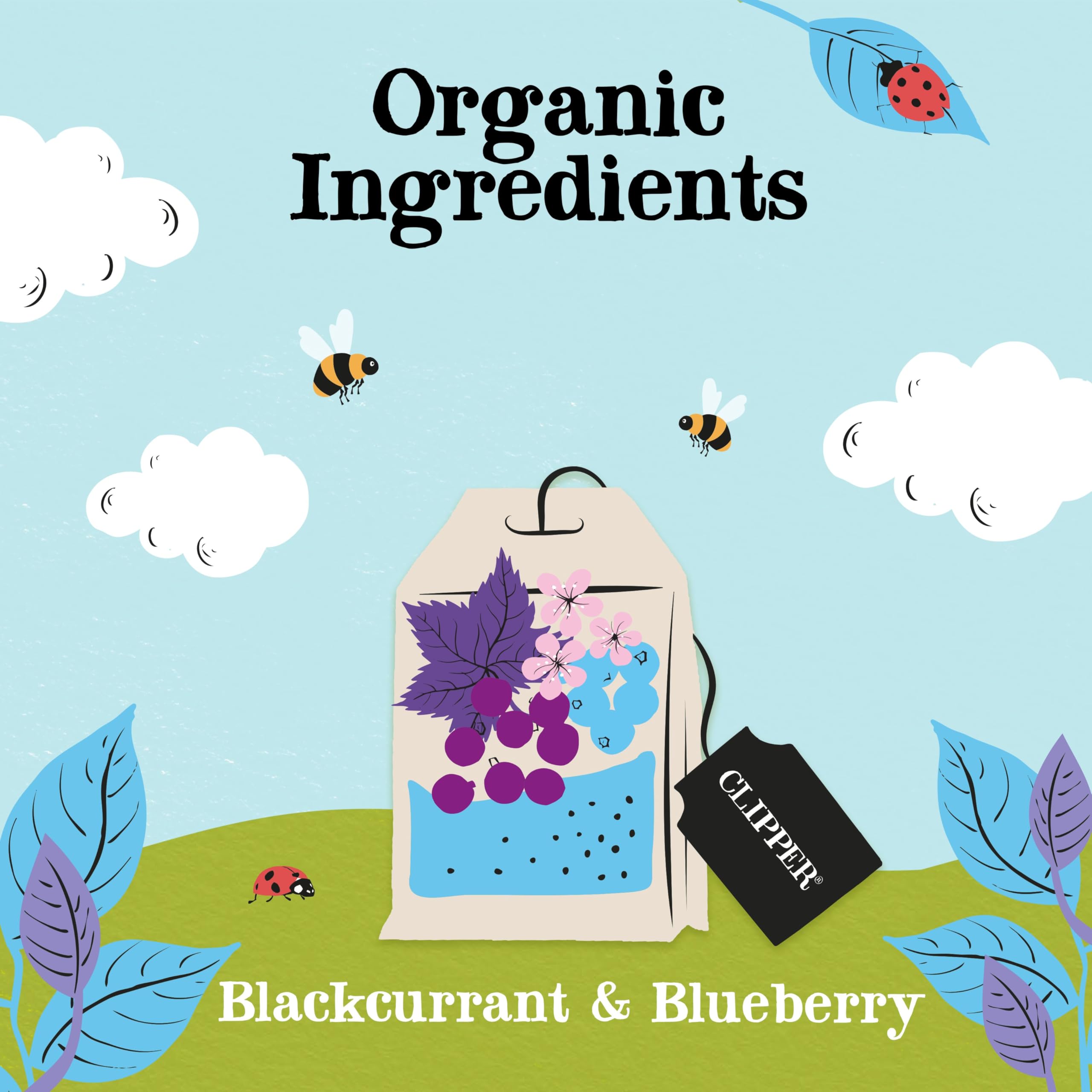 Clipper Organic Blackcurrant & Blueberry Infusion Fruit Teabags - 80 Unbleached Tea Bags 2
