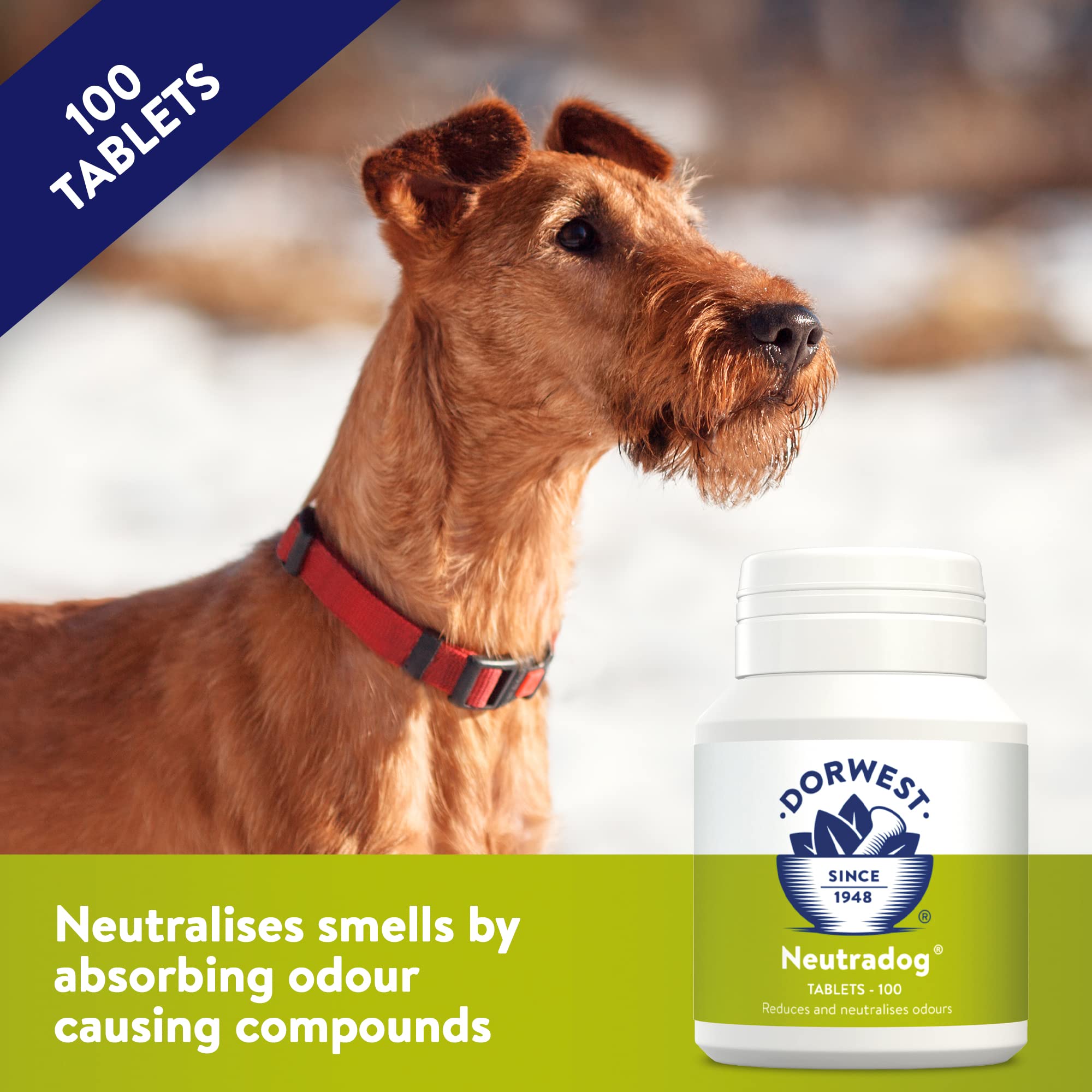 DORWEST HERBS Neutradog Tablets for Dogs and Cats - 100 Count