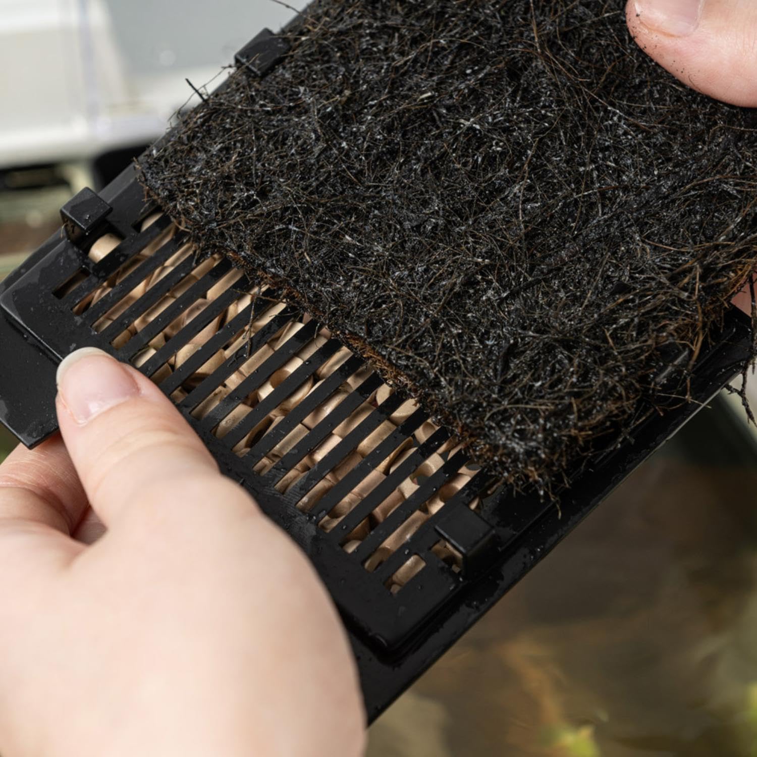 Interpet CF1 3 Month Filter Service Pack - Clears Water & Reduces Algae 6