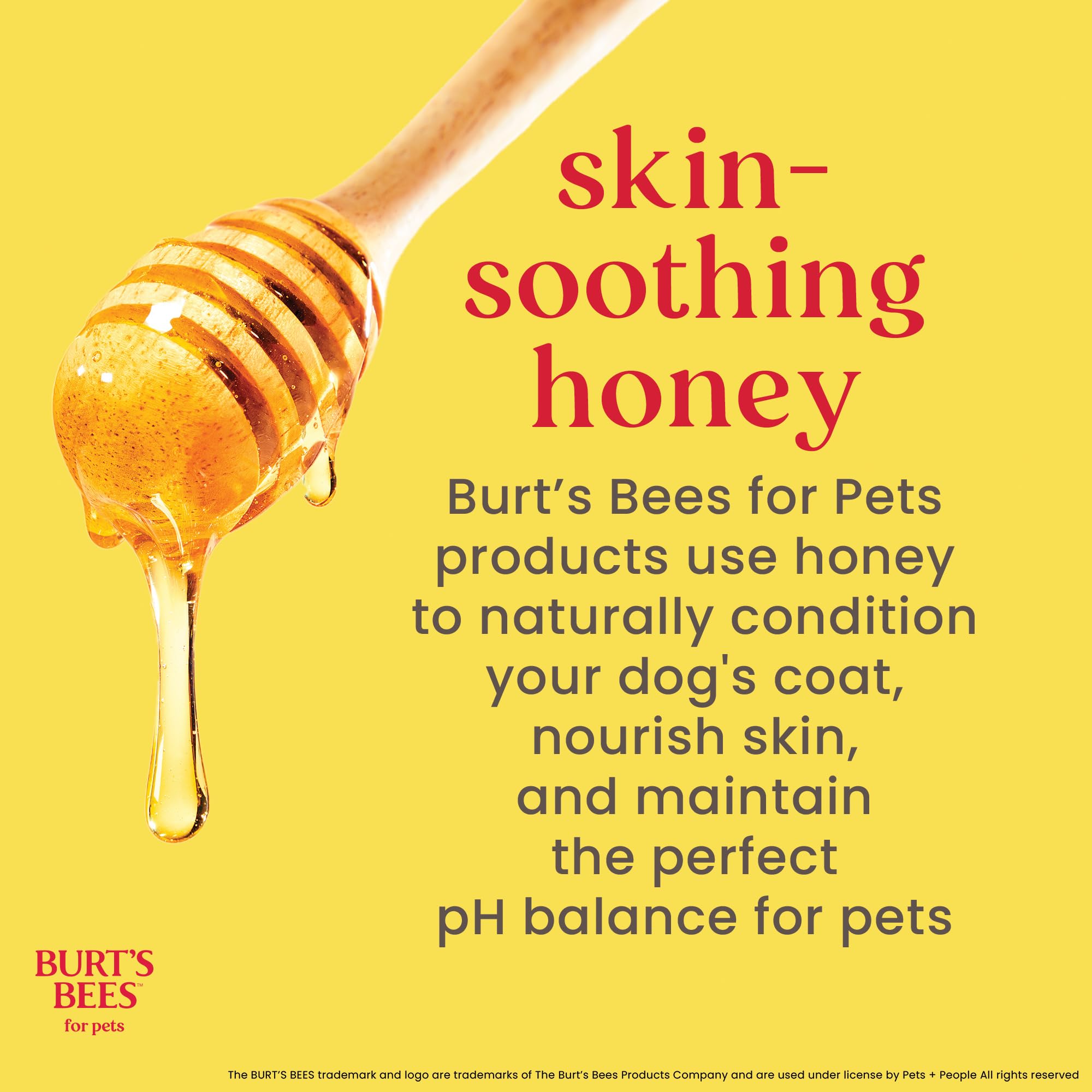 BURT'S BEES FOR PETS Tear Free Puppy Shampoo & Conditioner with Buttermilk | 473 ml 6