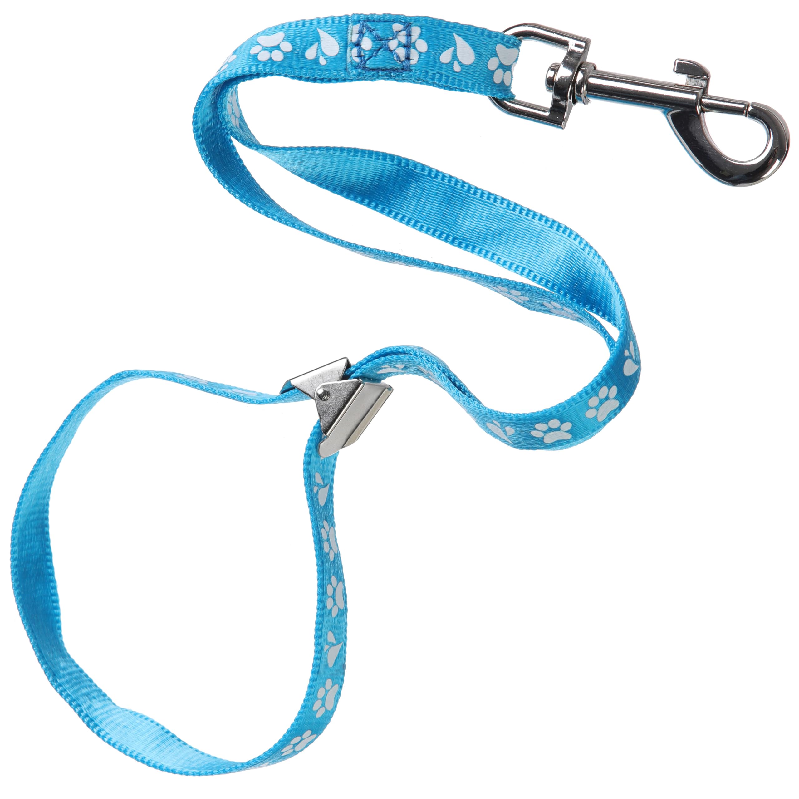 GROOM PROFESSIONAL Ajax Dog Grooming Loop Leash with Metal Slider | 42cm Nylon | Cyan Blue