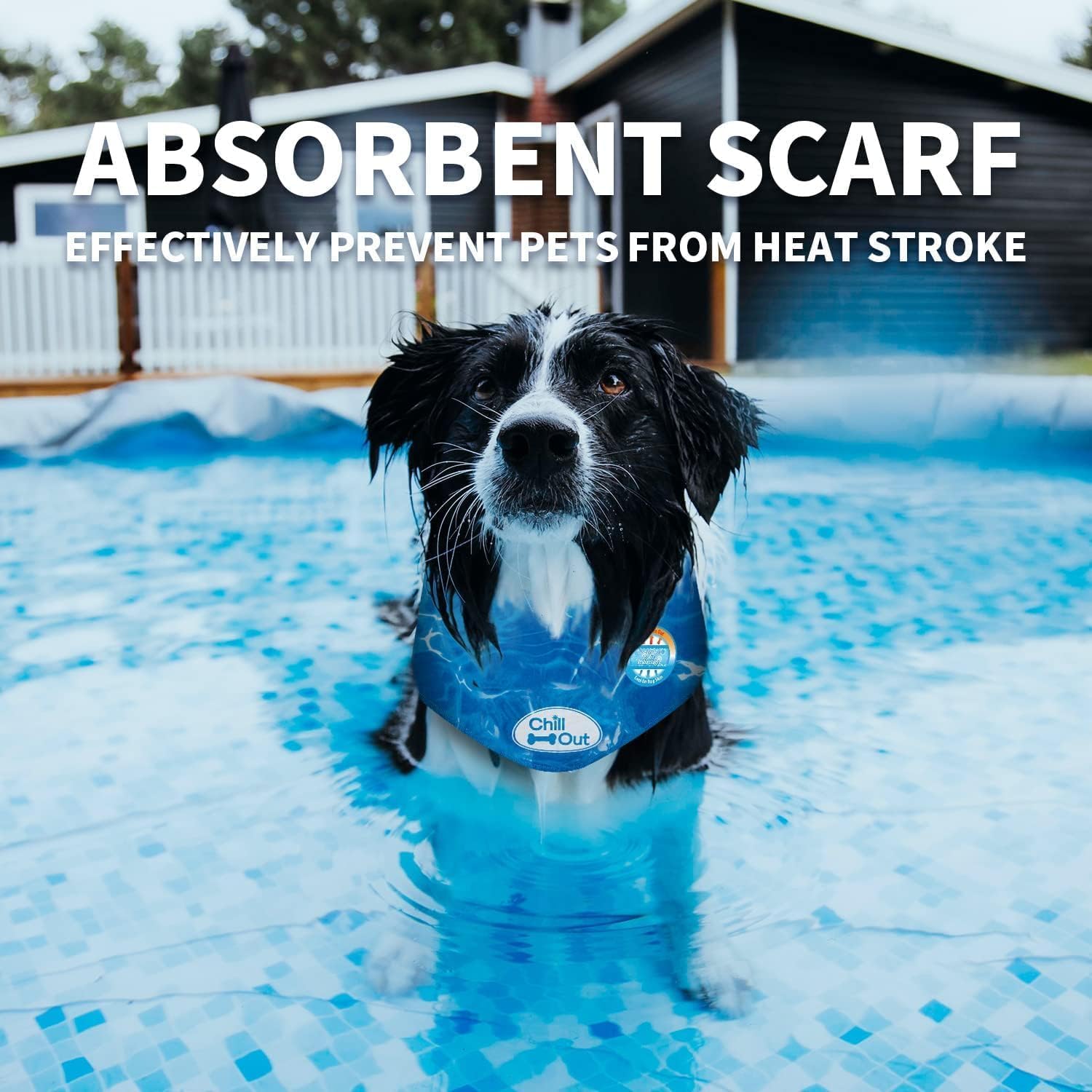 ALL FOR PAWS Chill Out Dog Cooling Bandana - Medium, Blue, Cotton 5