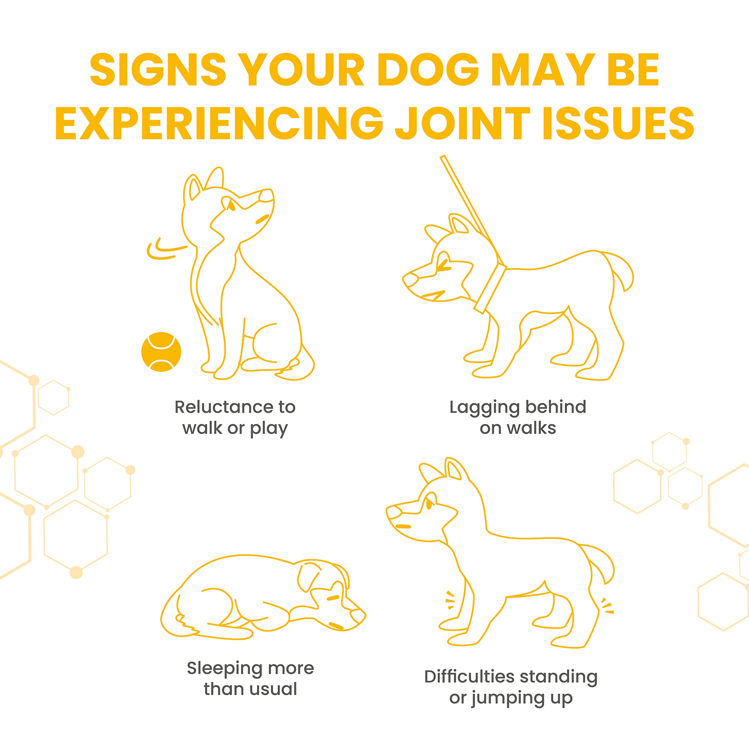 Vetzyme High Strength Flexible Joint Supplements for Senior Dogs - 30 Tablets 4
