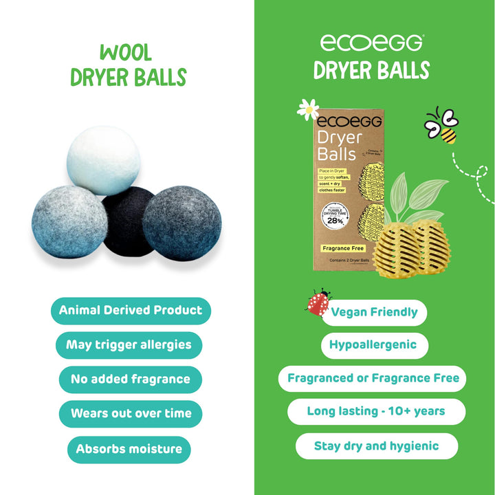 Ecoegg - Dryer Eggs Tumble Dryer Balls | Spring Blossom Scent | Reduces Drying Time | Hypoallergenic