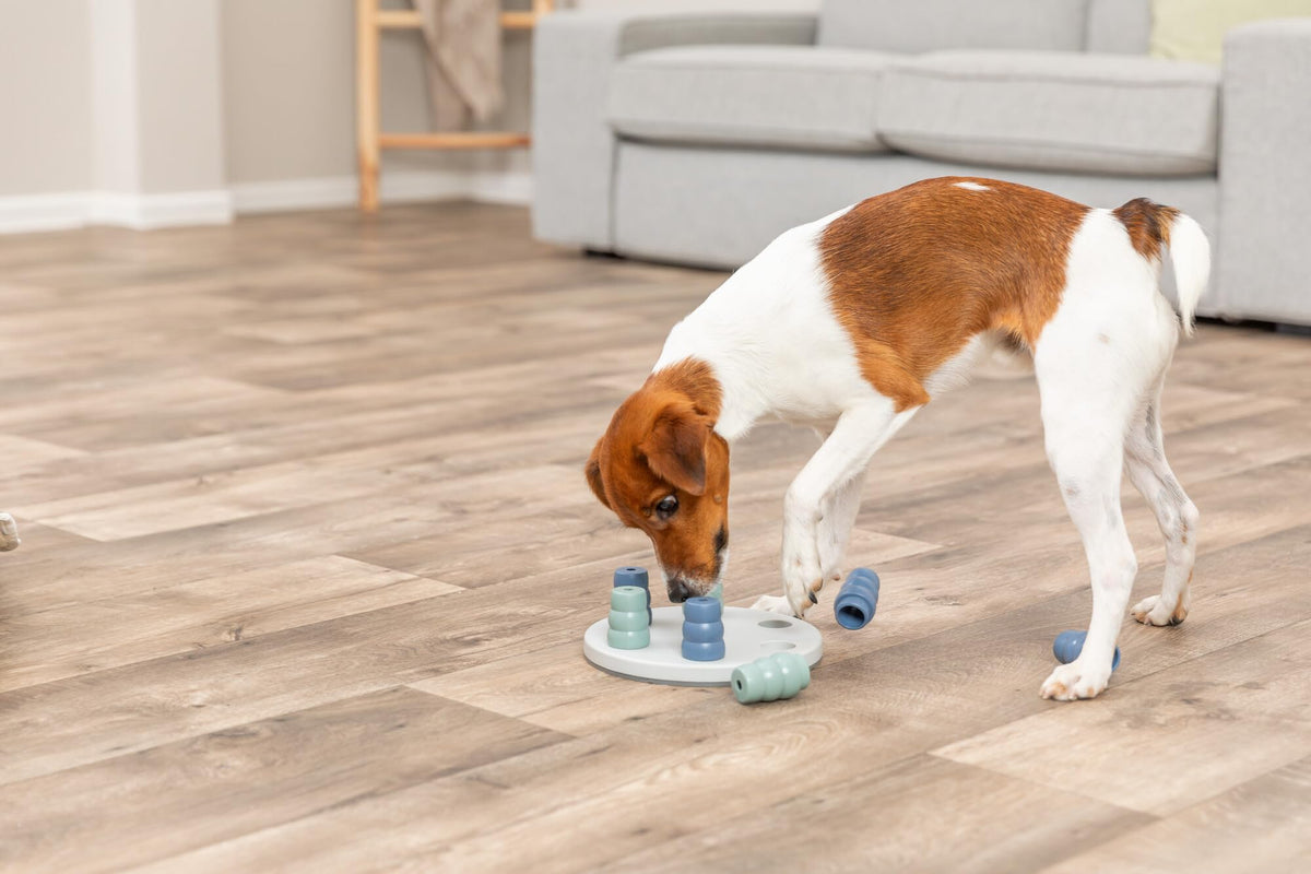 TRIXIE Dog Activity Mini Solitaire - Level 1, 20 cm