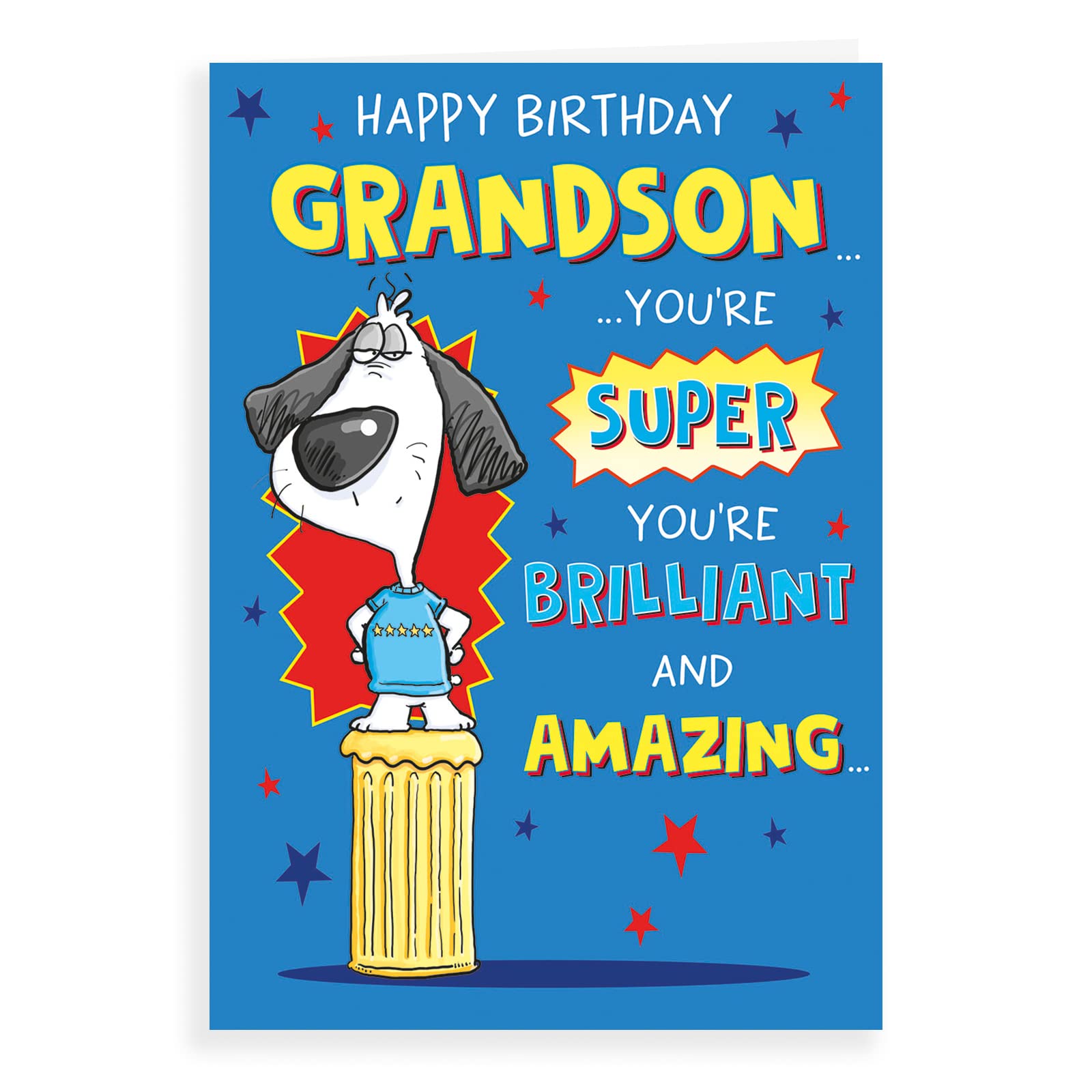Piccadilly Greetings Humour Birthday Card for Grandson | 9 x 6 Inches | Made in the UK