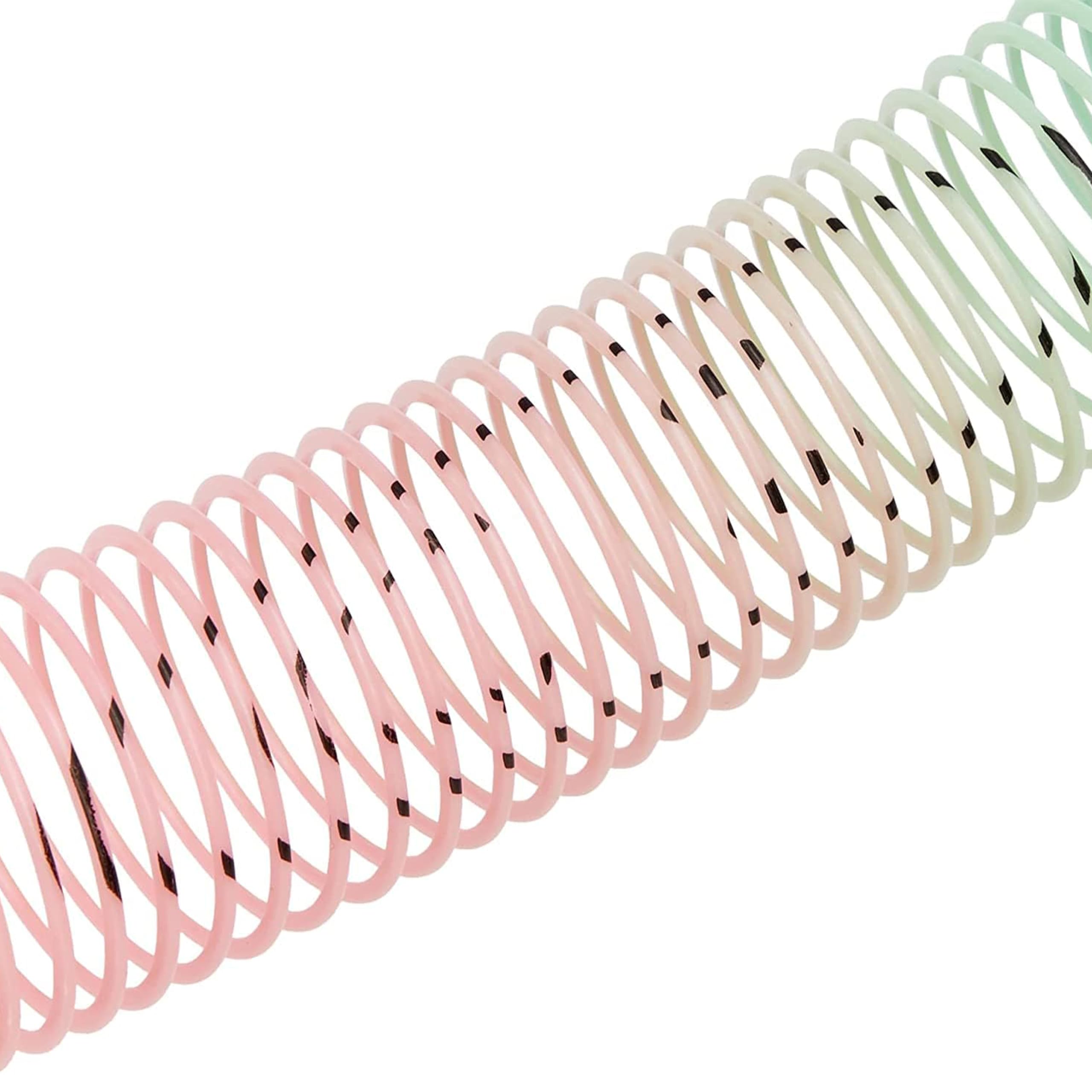 SHATCHI 24Pcs Rainbow Smile Face Springs - Stretches Up To 1 Meter | Plastic Wind-Up Toy 9
