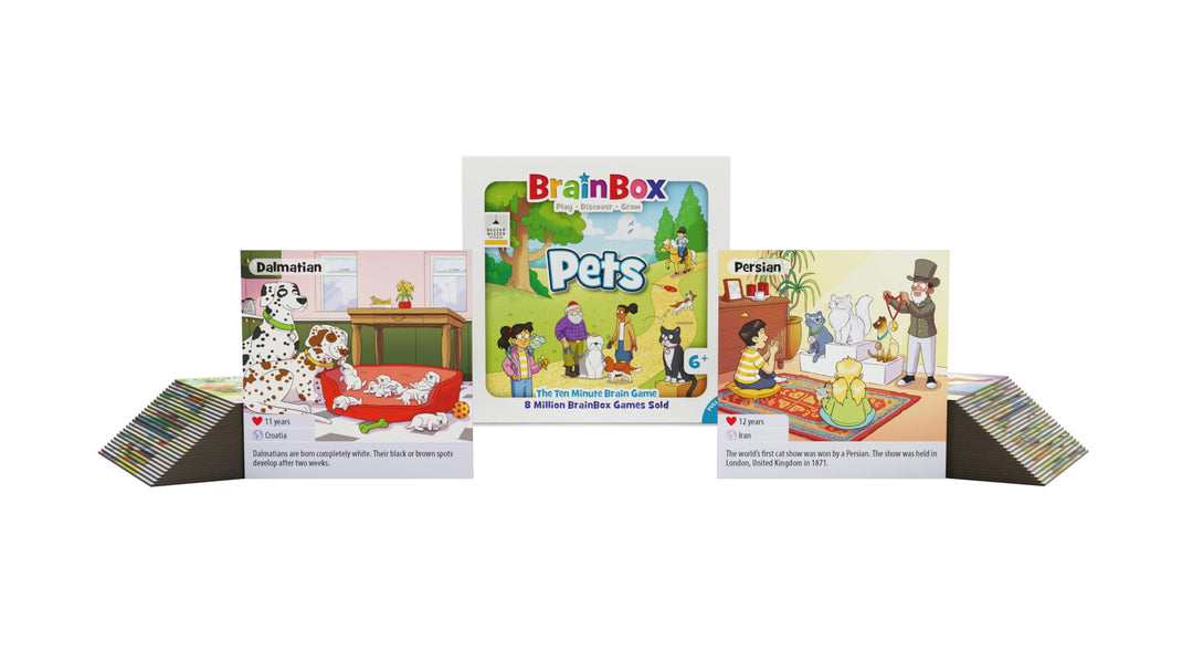 BrainBox Pets Card Game (BEZBBG124461)