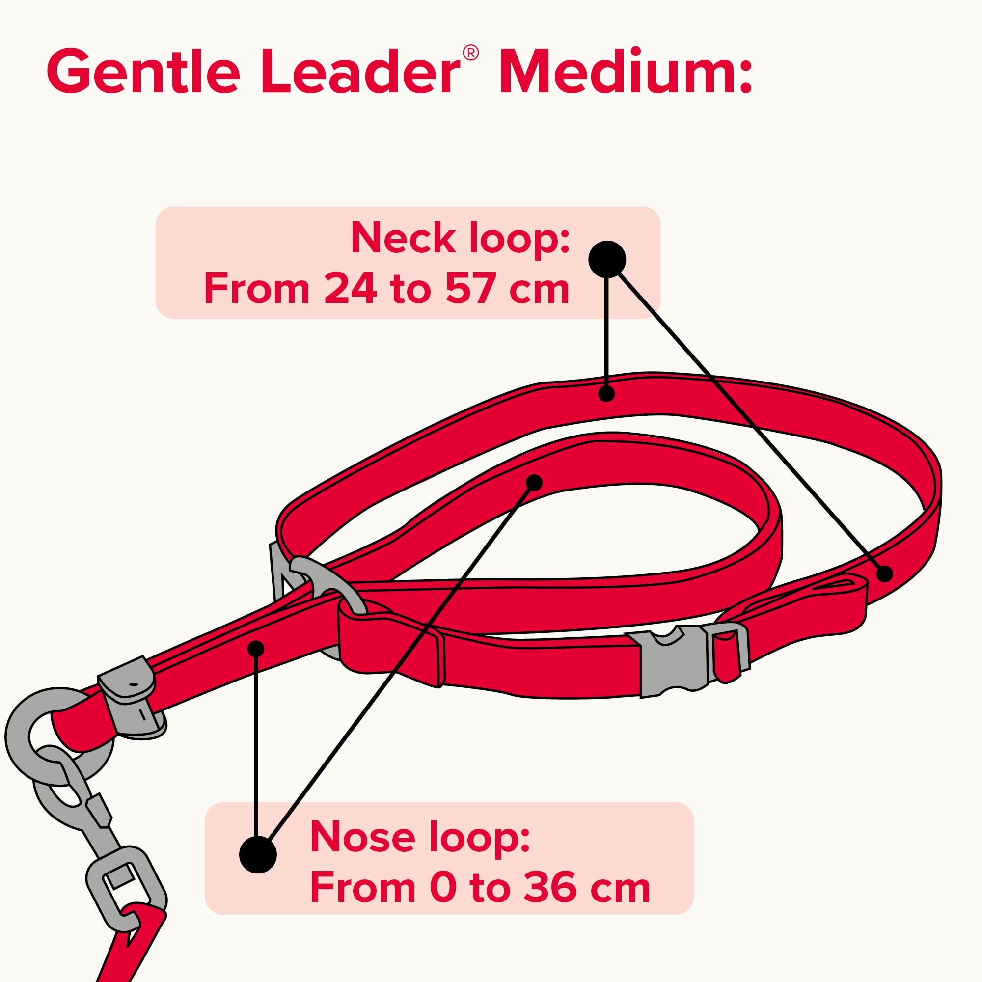 Beaphar Gentle Leader Head Collar - Medium Dog Training Aid | Stops Pulling | Black Nylon 7