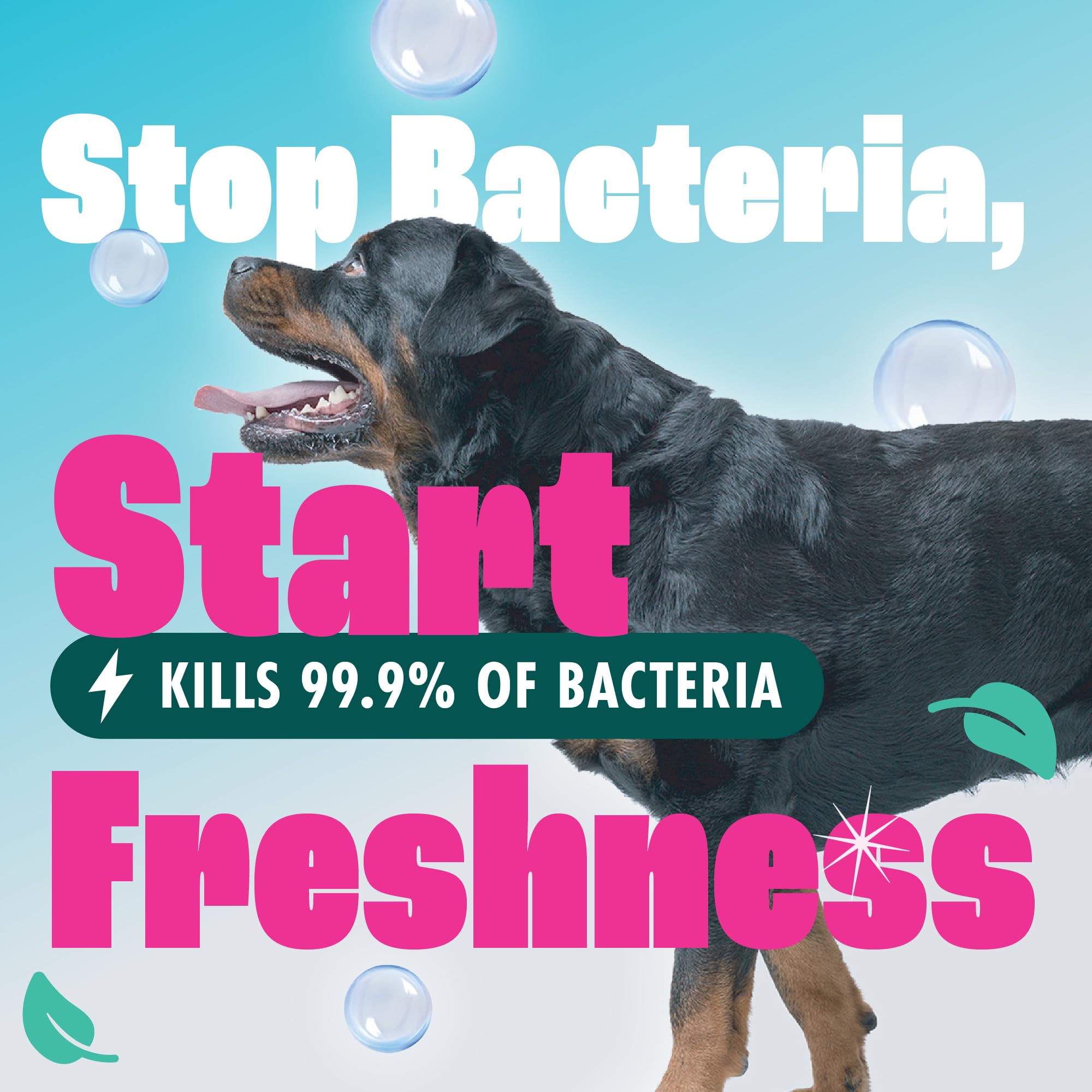 Dirtbusters Anti-Bac Spot Cleaning Solution (1L) 2