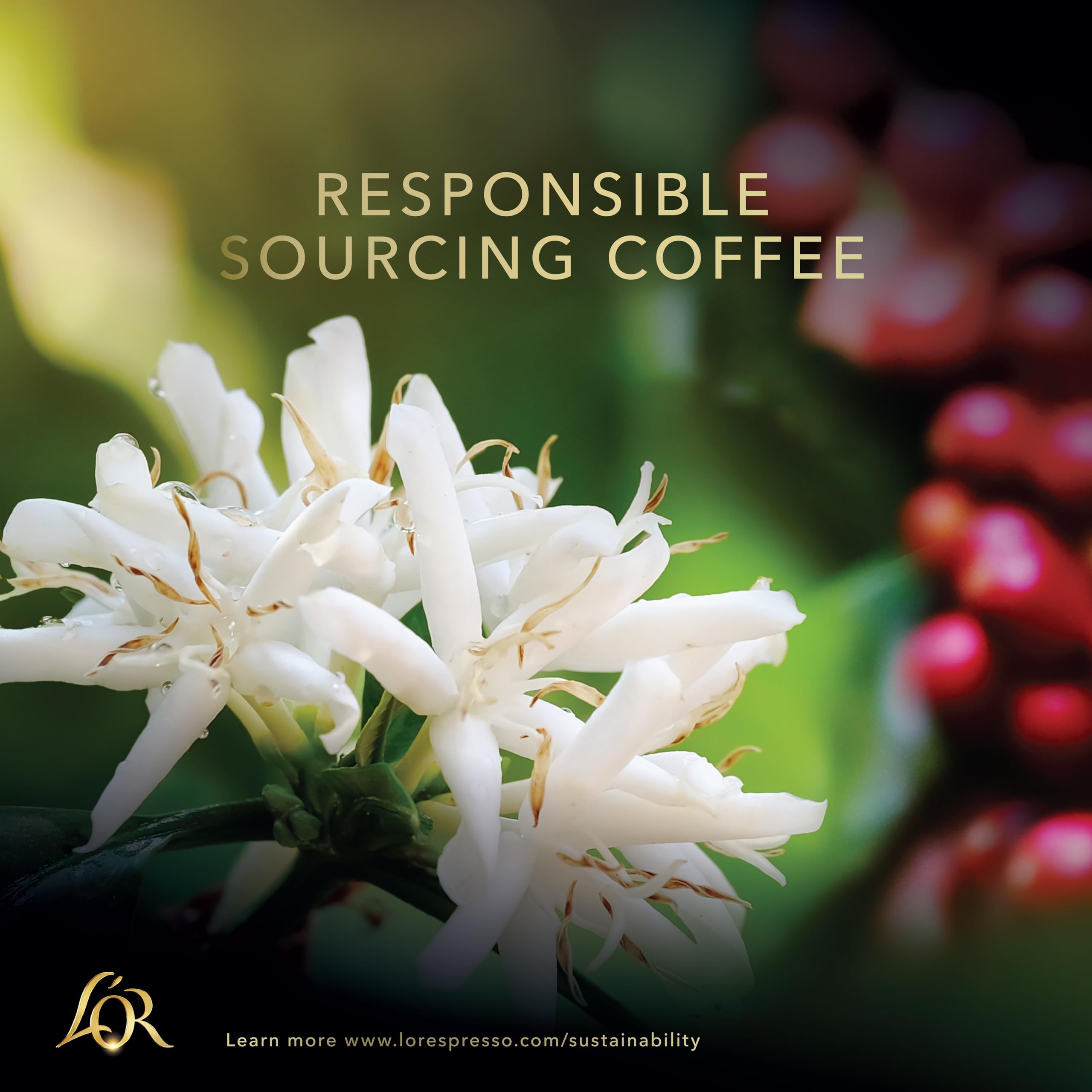 L'OR Origins Colombia Coffee Pods - Citrus Fruit Flavour & Elegant Aftertaste | 100 Capsules | Compatible with Nespresso 7