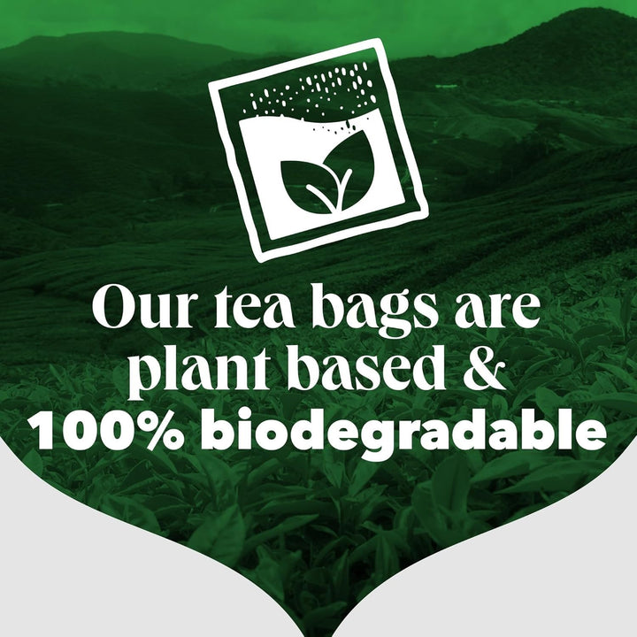 PG Tips - Original 80 Tea Bags 232g