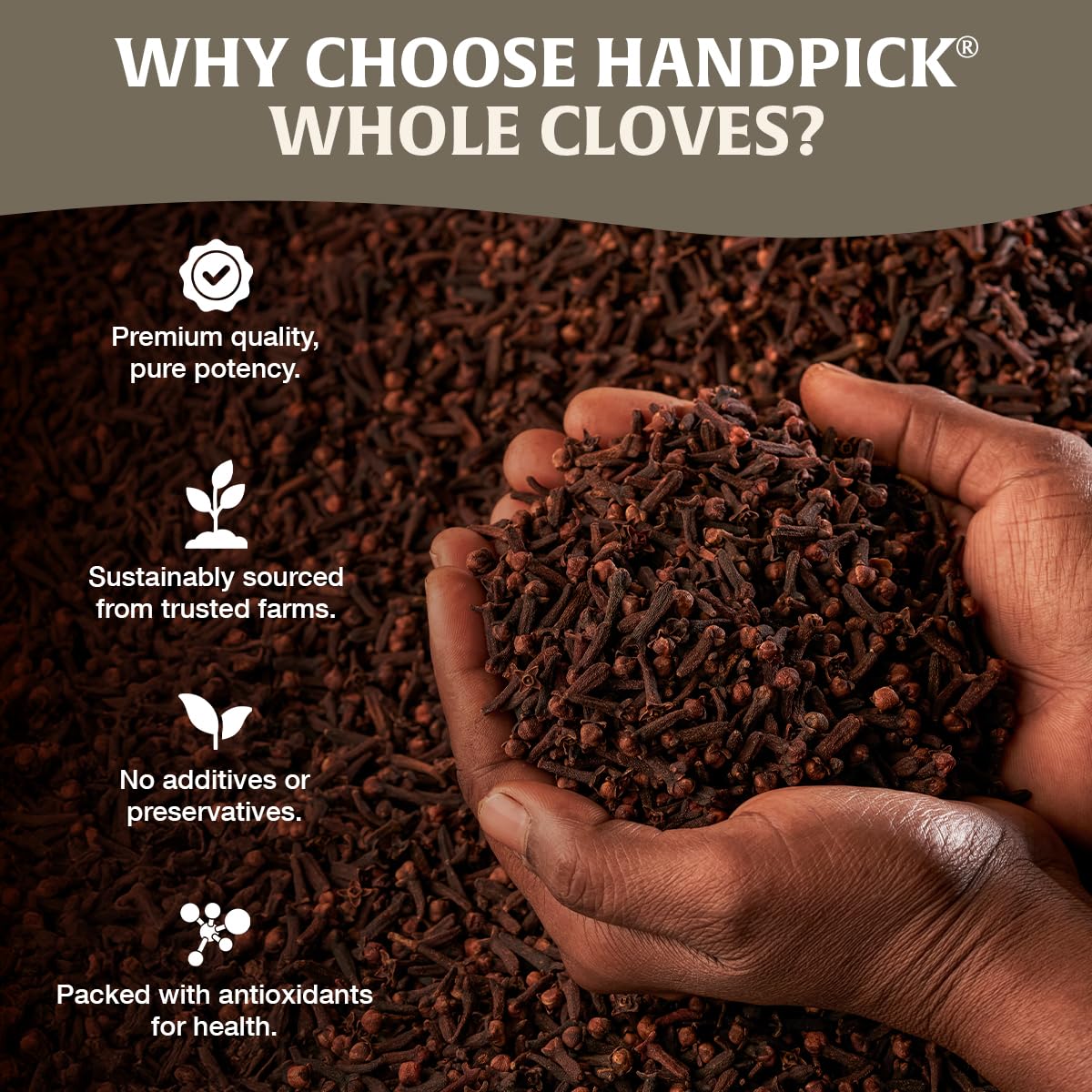 HANDPICK Whole Cloves - Premium South Indian Spice | 397g 4