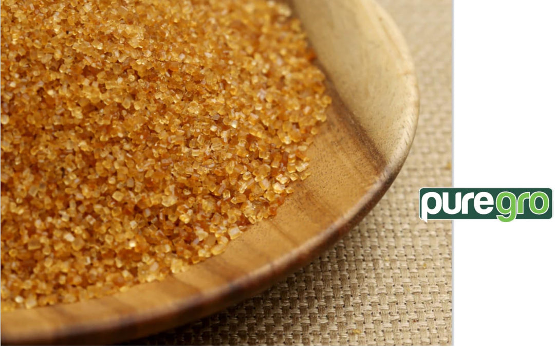 Puregro Demerara Sugar - Premium Golden Cane Sugar for Baking & Beverages