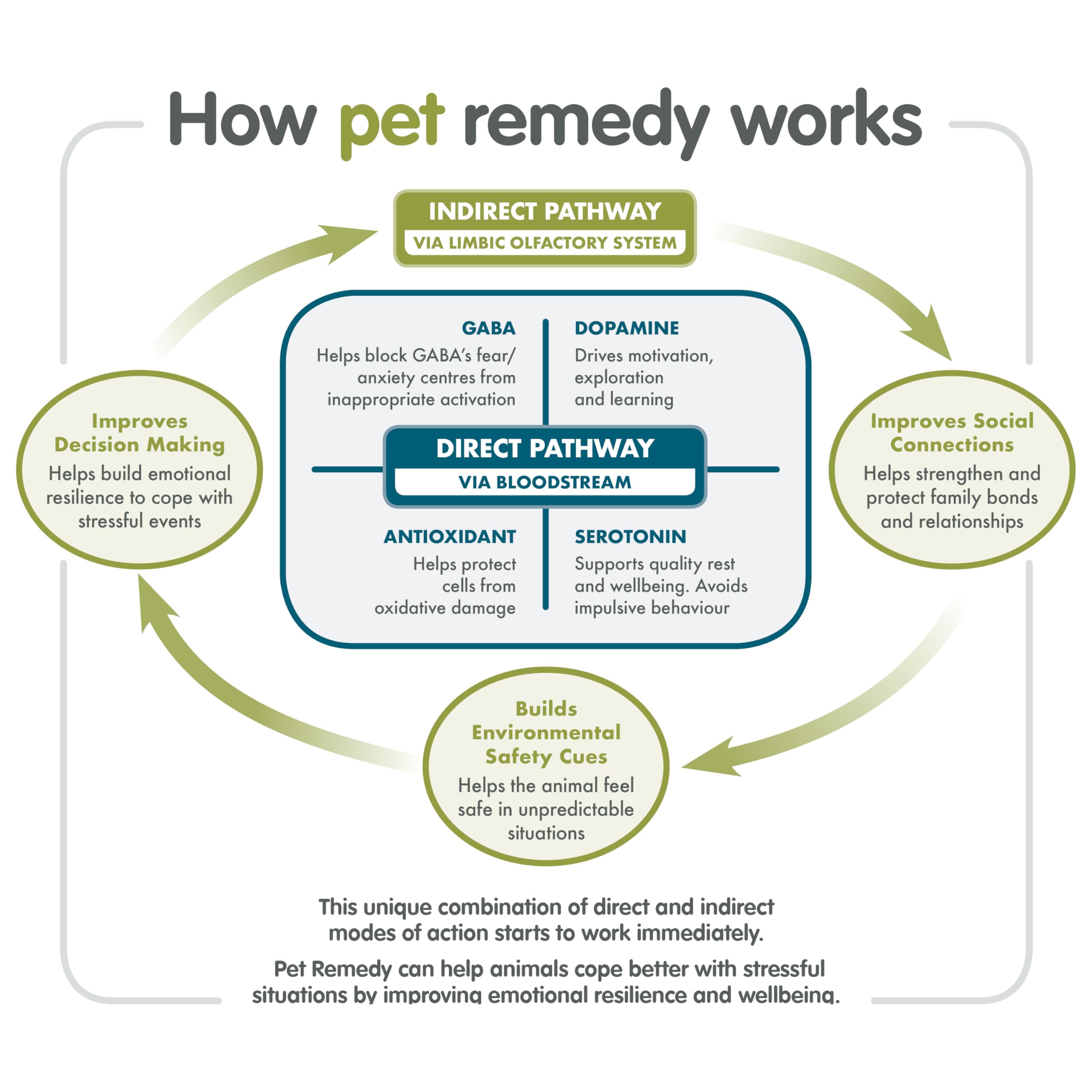 Pet Remedy Calming Spray - Natural Stress & Anxiety Relief for All Life Stages | 200 ml