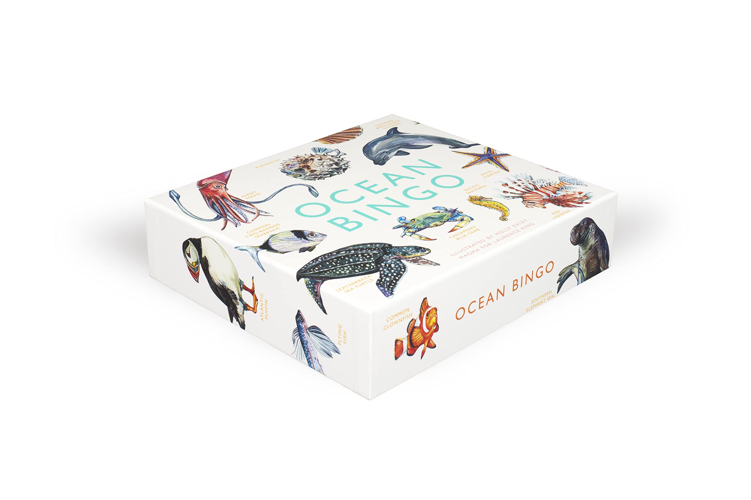 Laurence King Ocean Bingo - 64 Species Game | Ages 4-8 | Cardstock 4