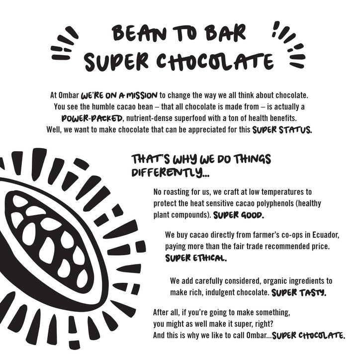Ombar Salt & Nibs 64%, Vegan, Organic, Fair Trade Chocolate Bar