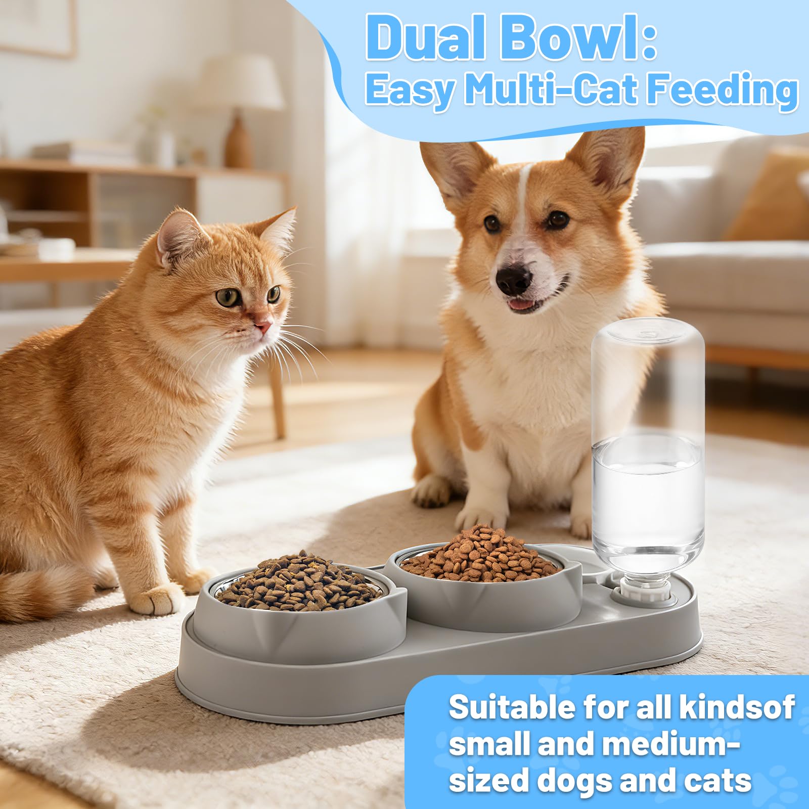 MOXYOY 3-in-1 Raised Cat Food and Water Bowl Set with Automatic Water Replenishment | Grey 6