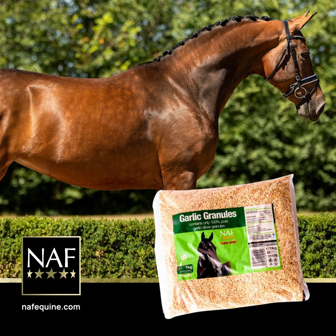 NAF Garlic Granules - Supports Immune & Respiratory Health | 1 kg 3