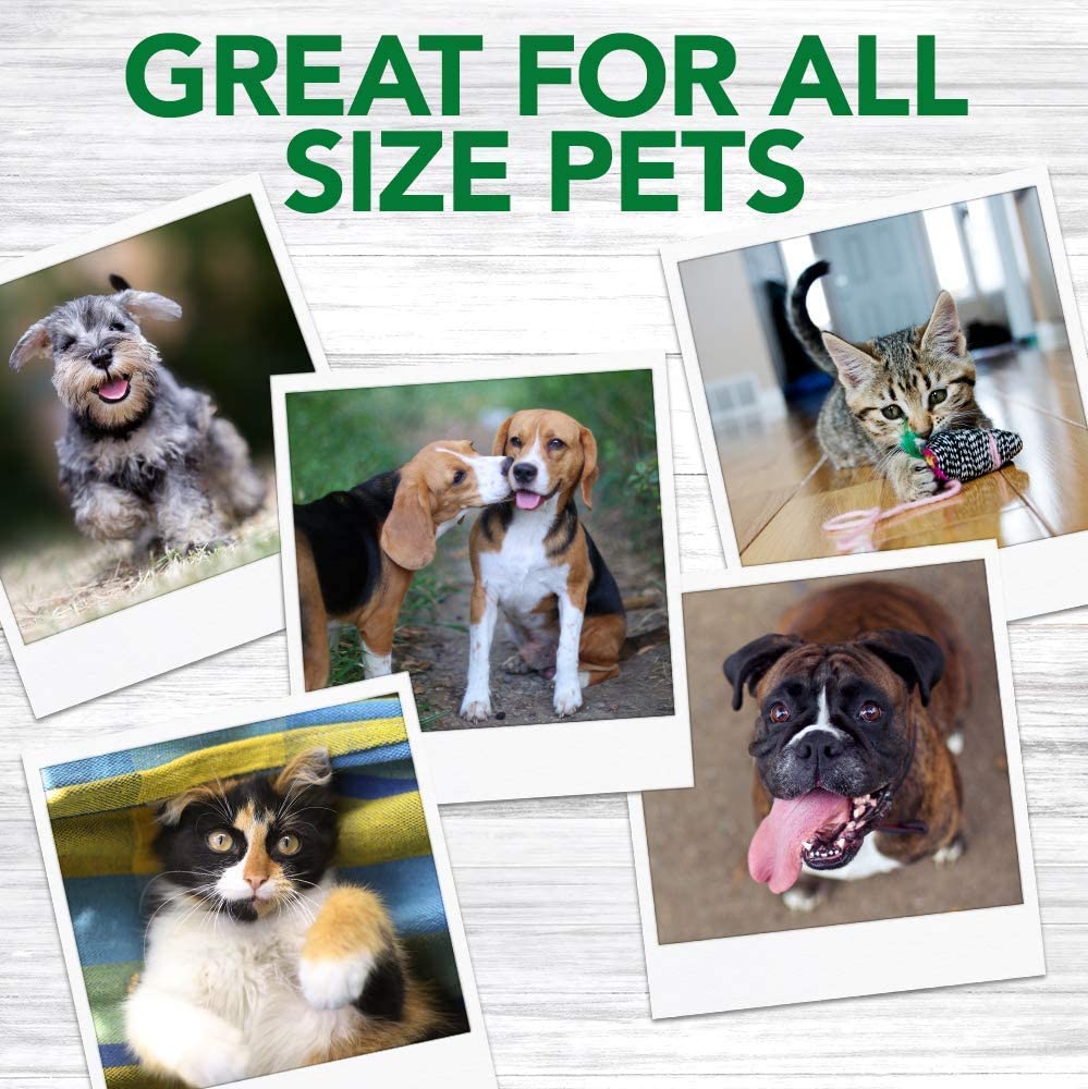 Vet's Best Triple Headed Toothbrush for Dogs - Fast Cleaning & Fresh Breath | Easy Grip 5