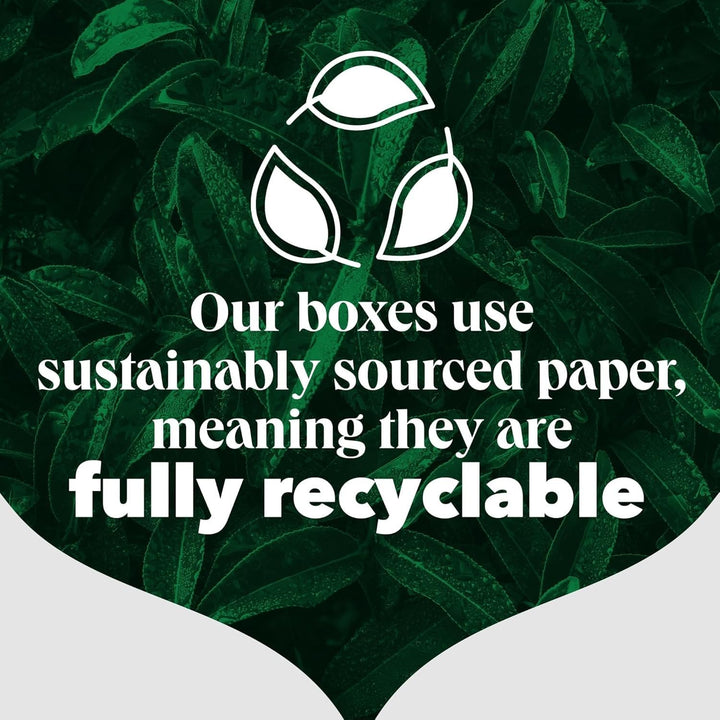 PG Tips - Original 80 Tea Bags 232g