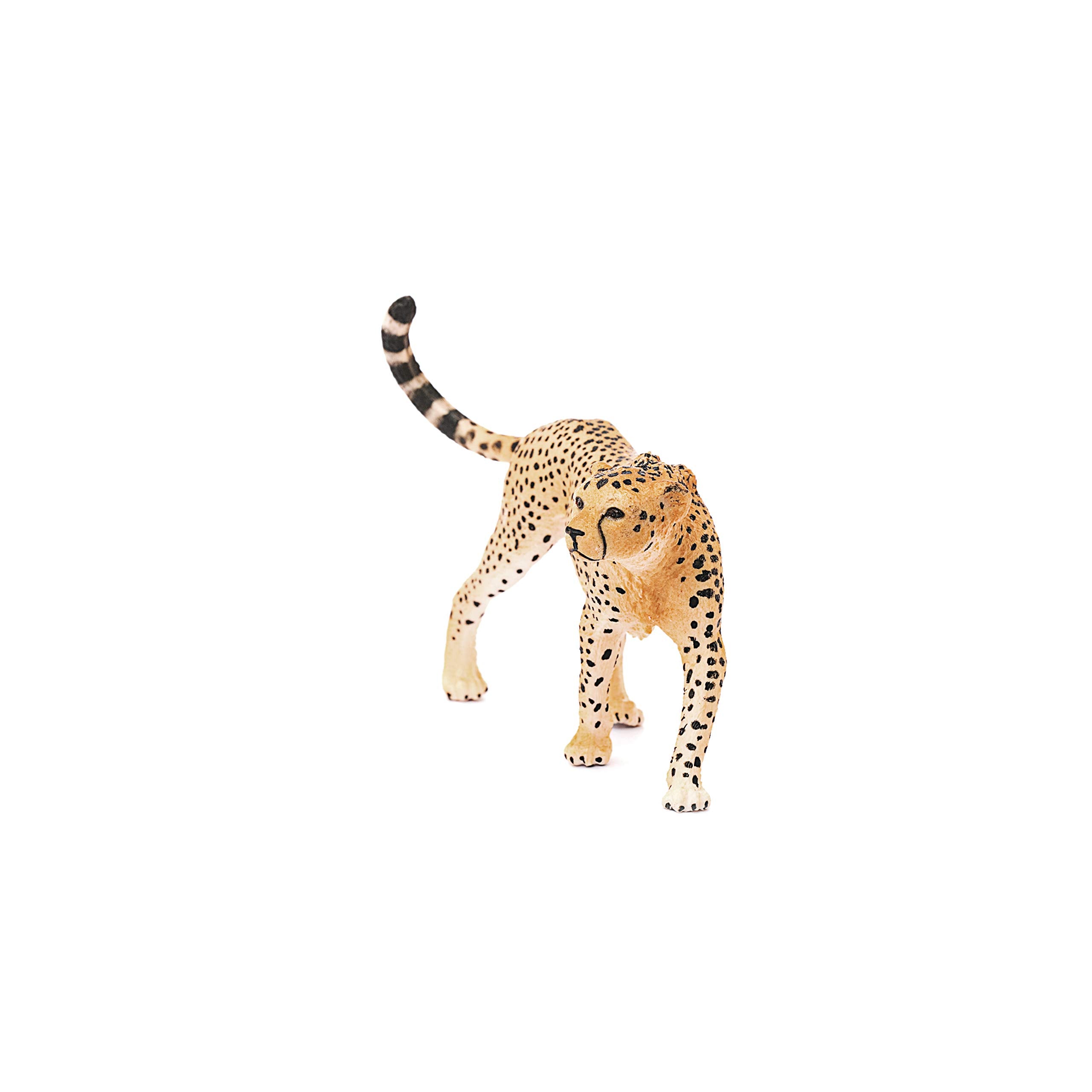 Schleich Cheetah Female Figurine - Wild Life Collection | Ages 3+ | 3.9 inches Tall 5