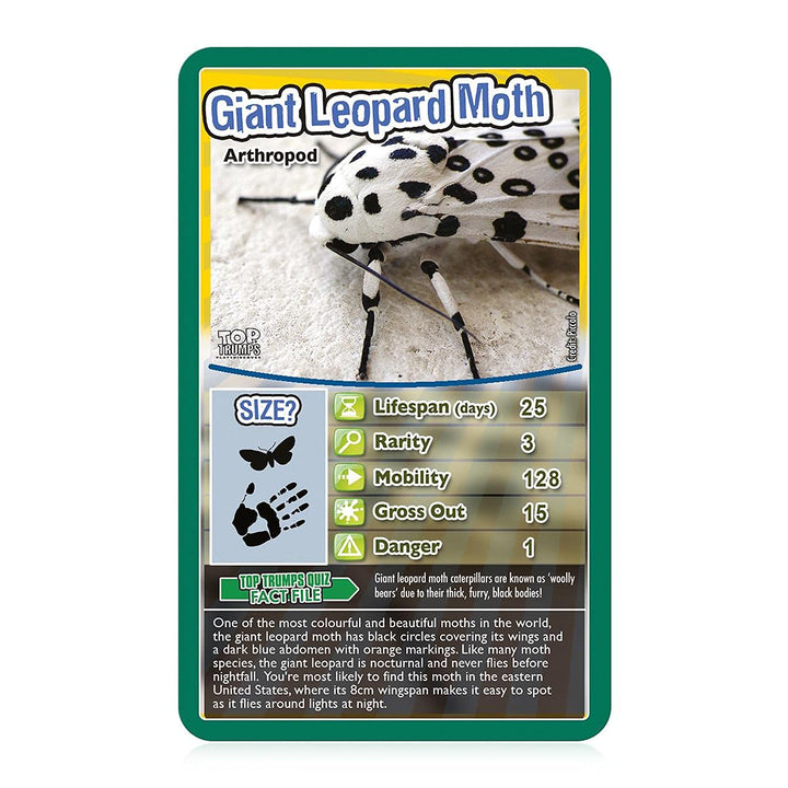 Top Trumps Bugs Classic Card Game - Educational Insect & Arachnid Trivia for Kids 6+