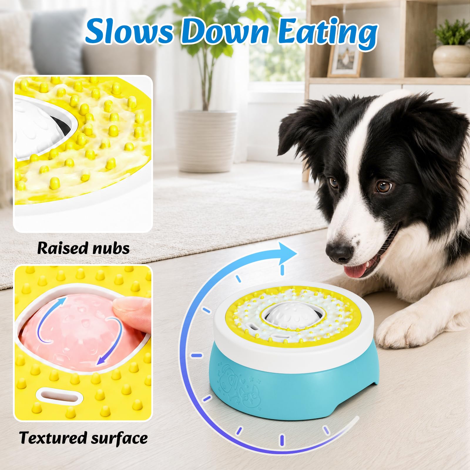 Euqvunn Slow Feeder Dog Bowl with Screw Lid | 260ml Capacity | Blue & Yellow